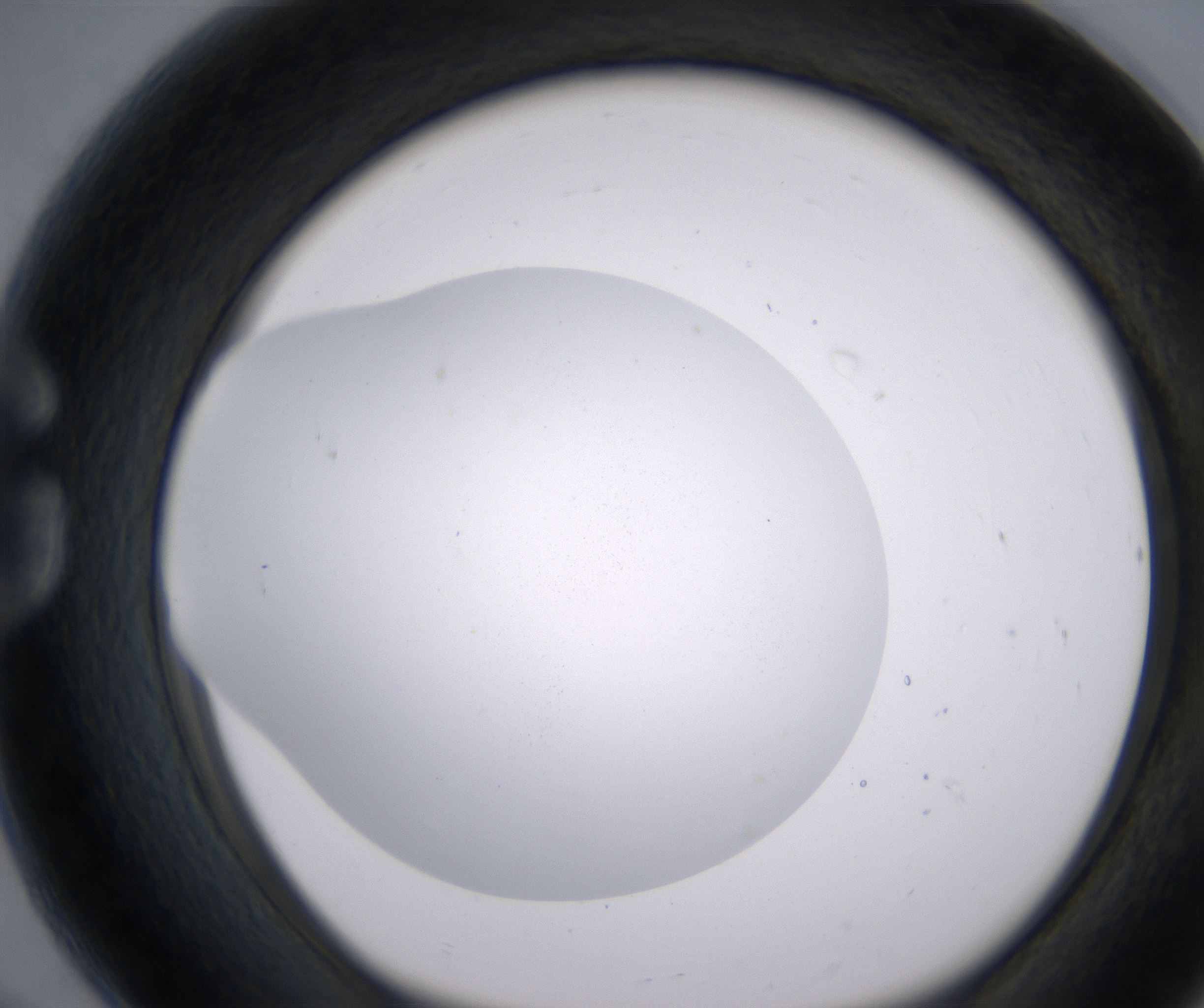 G8_HighResolution_Clear_1.jpg