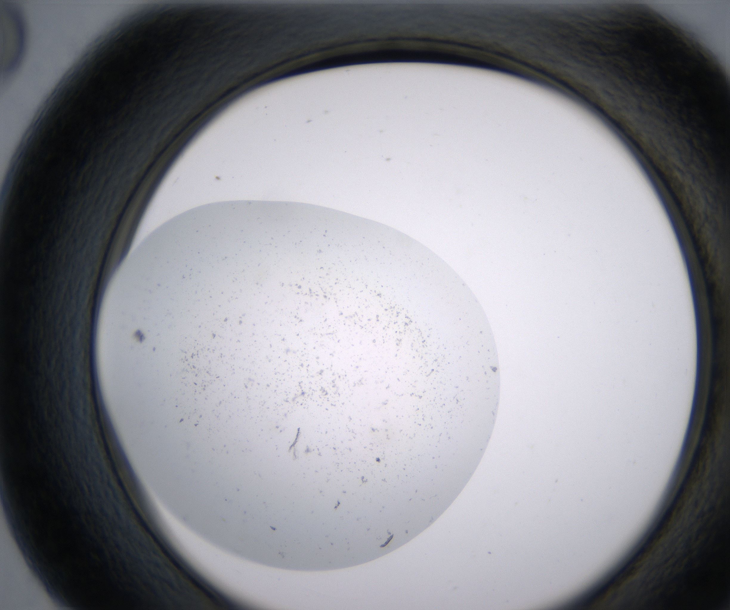 G8_HighResolution_Precipitate_2.jpg