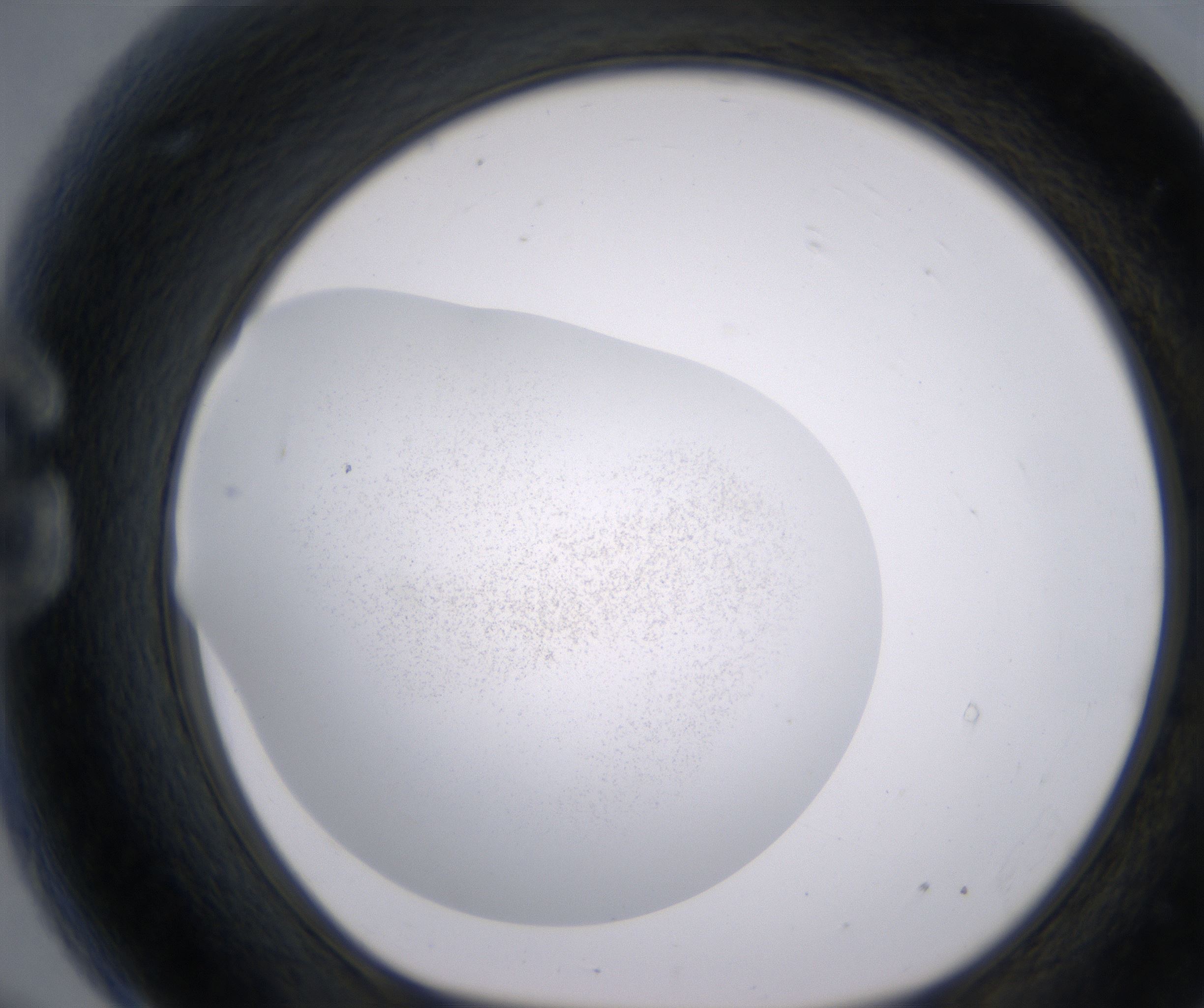 G9_HighResolution_Precipitate_1.jpg