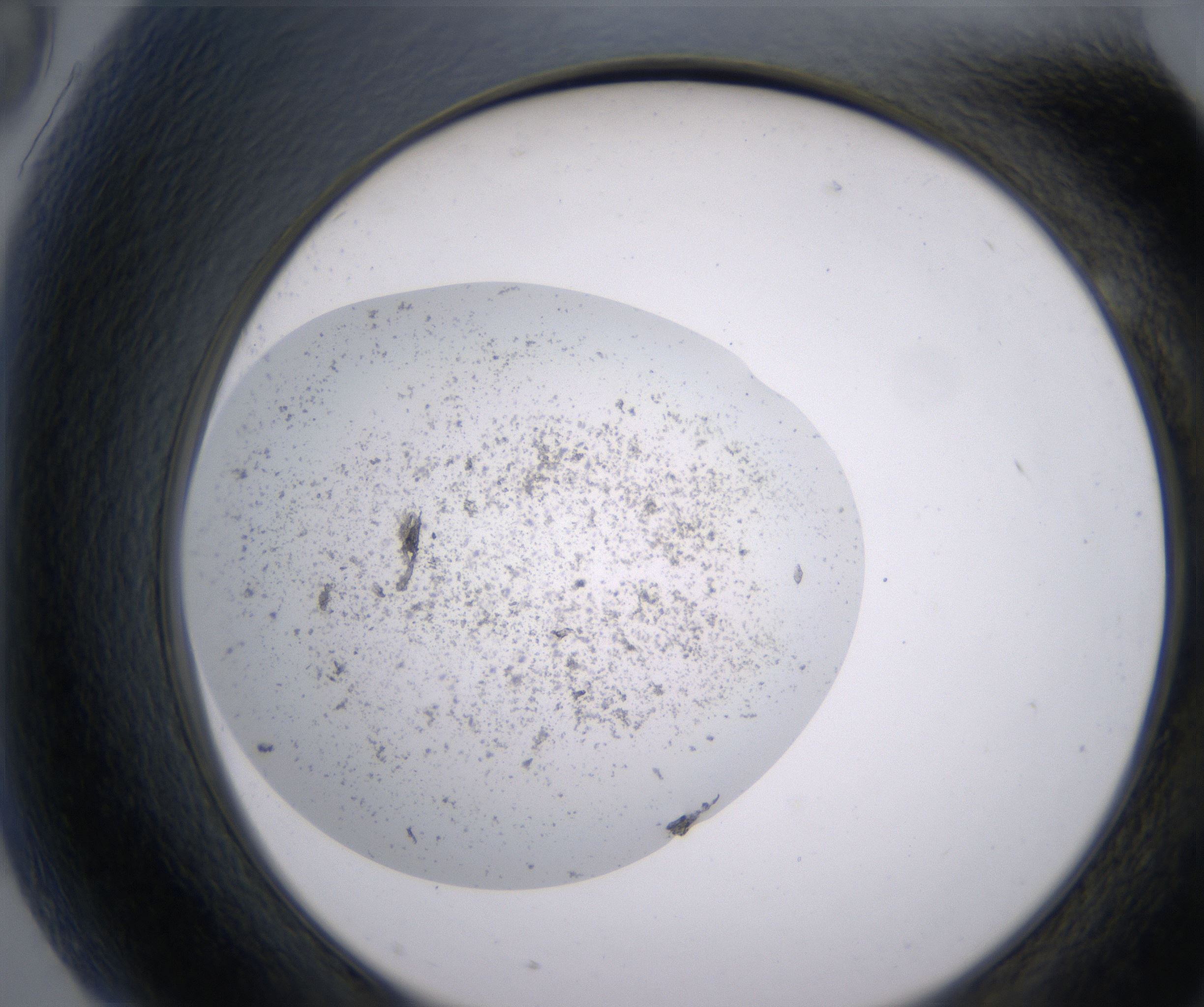 G9_HighResolution_Precipitate_2.jpg