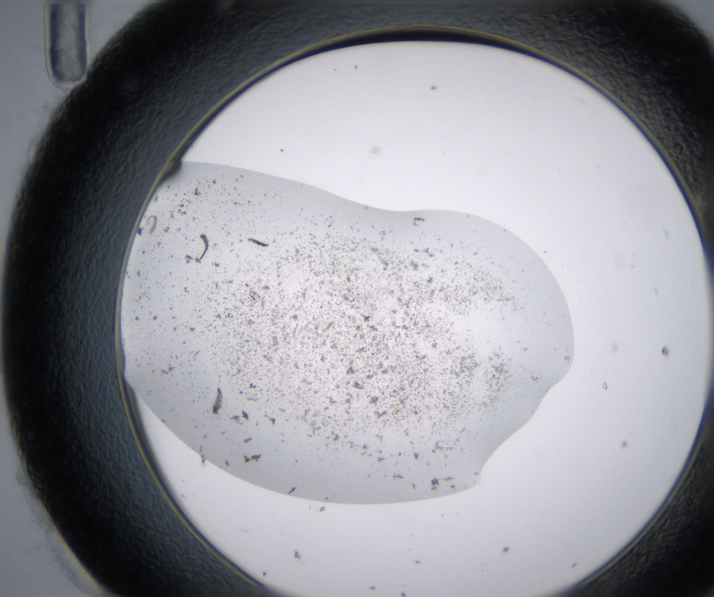 H11_HighResolution_Precipitate_2.jpg
