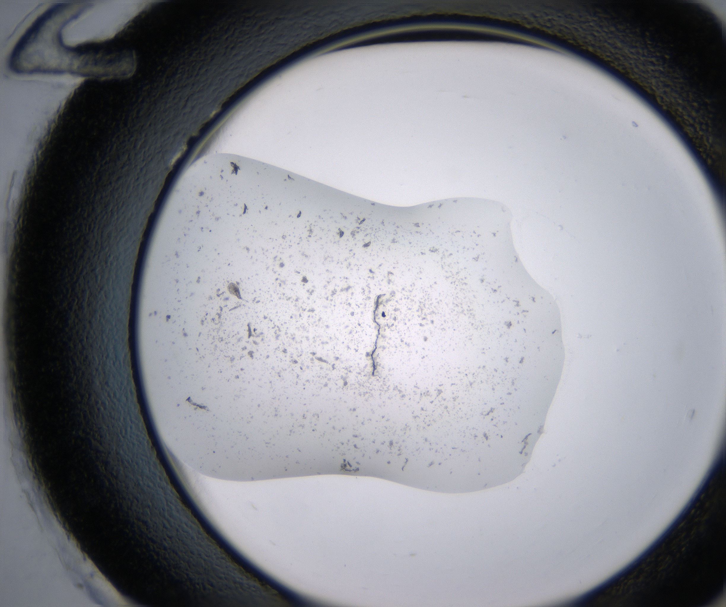 H12_HighResolution_Precipitate_2.jpg
