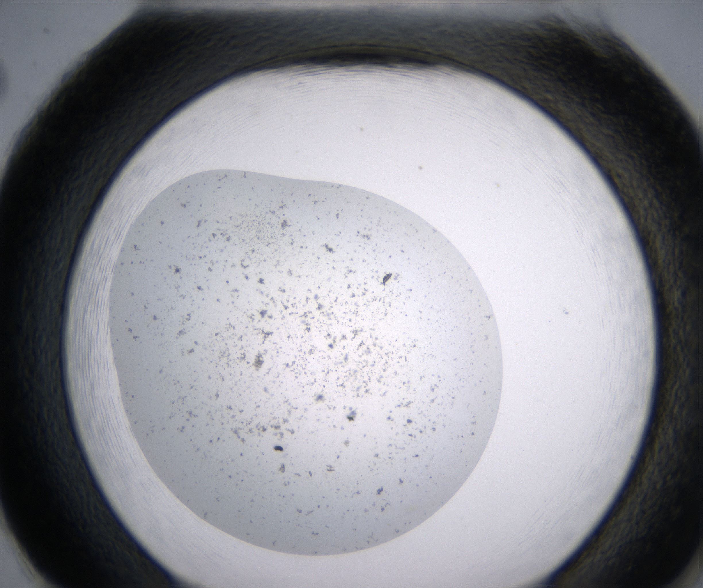 H2_HighResolution_Precipitate_2.jpg