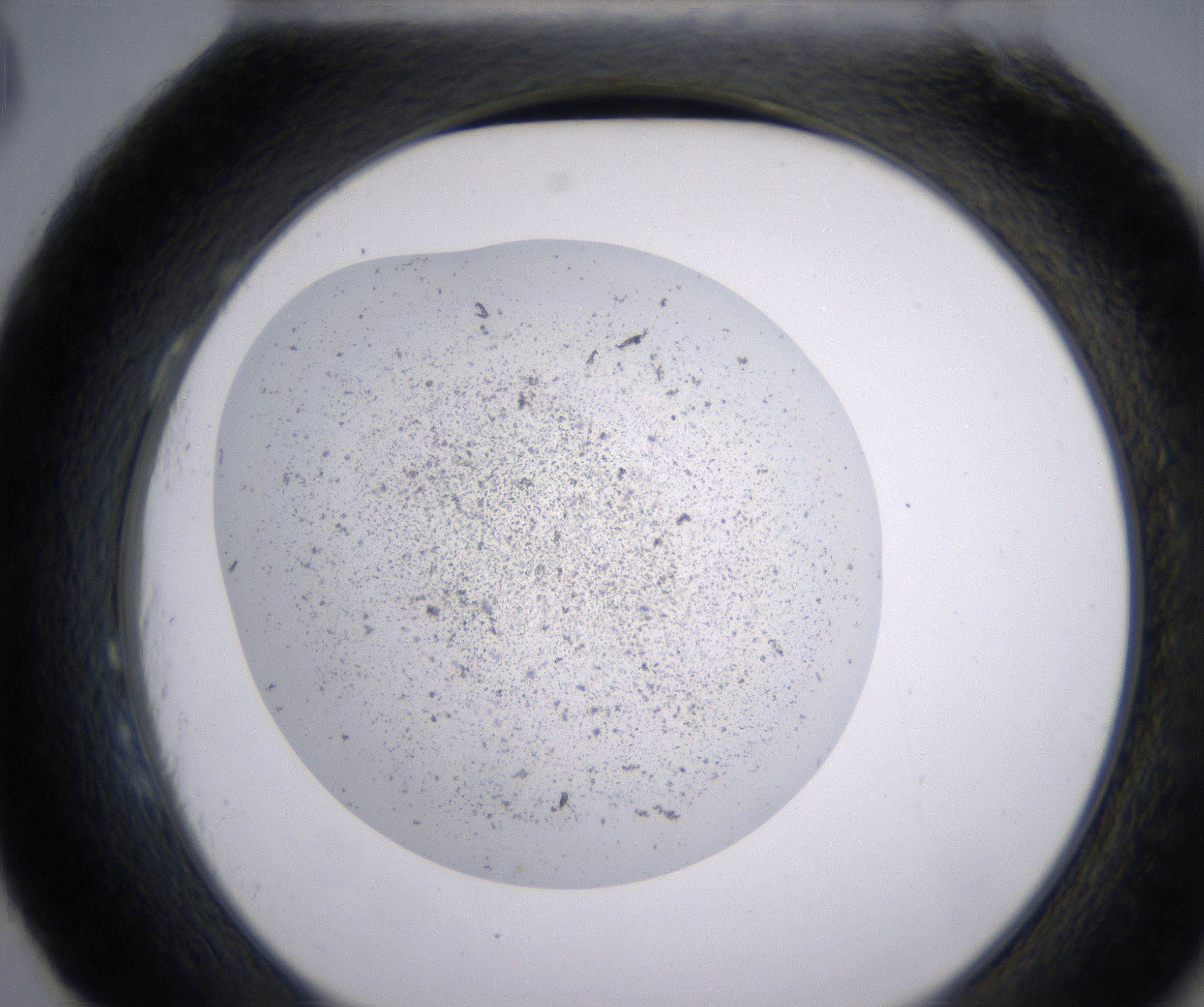 H3_HighResolution_Precipitate_2.jpg