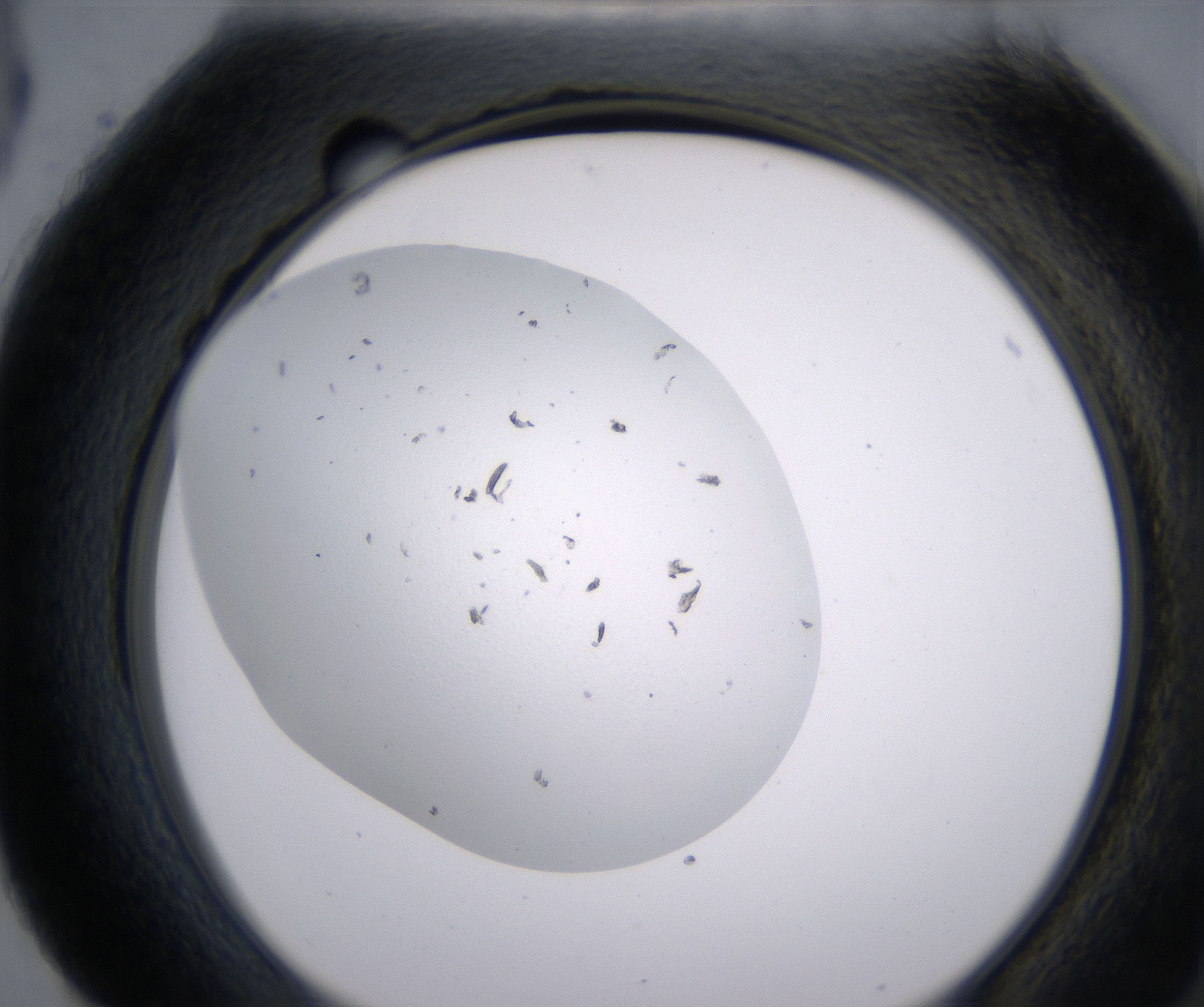 H4_HighResolution_Precipitate_2.jpg