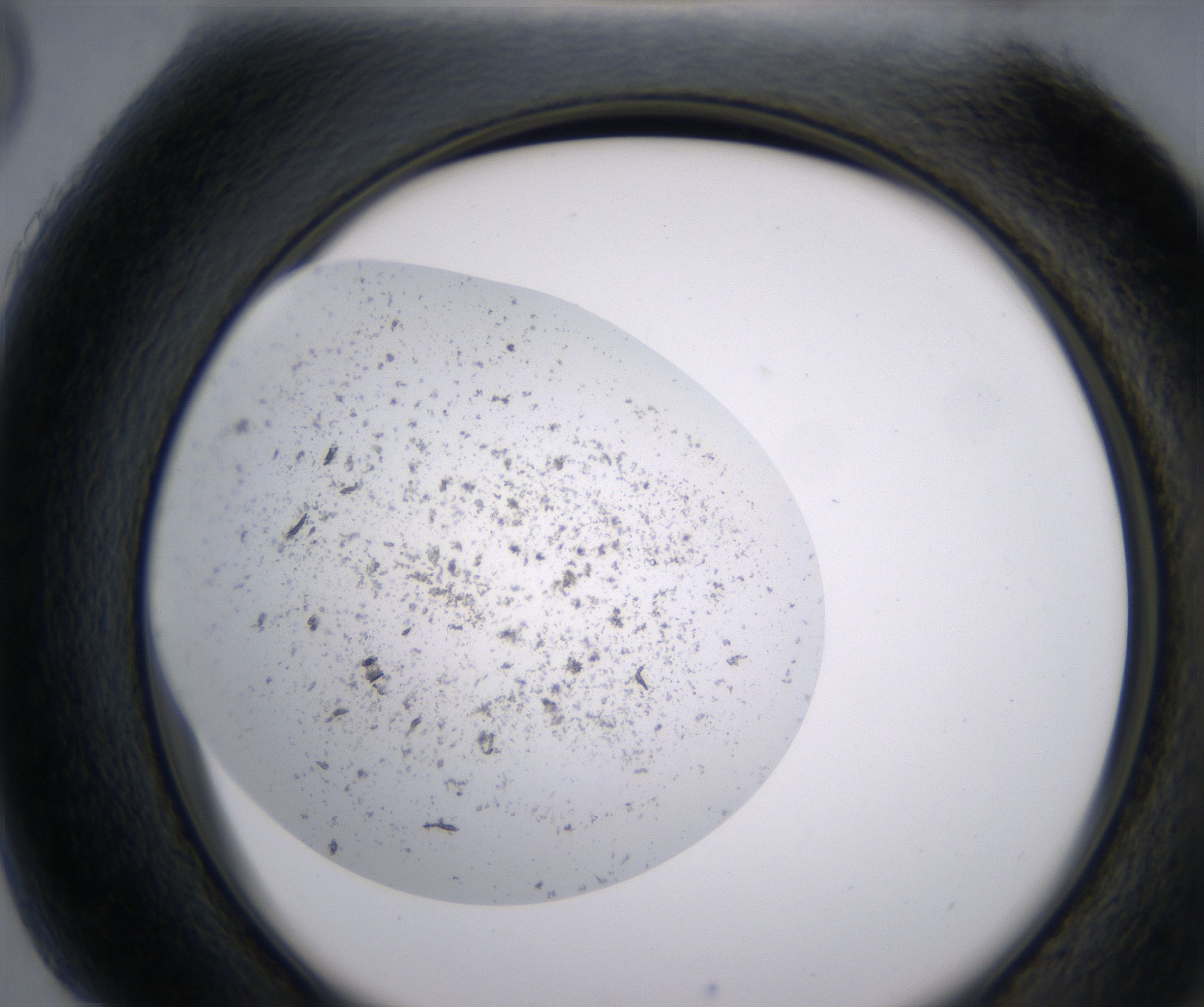 H5_HighResolution_Precipitate_2.jpg