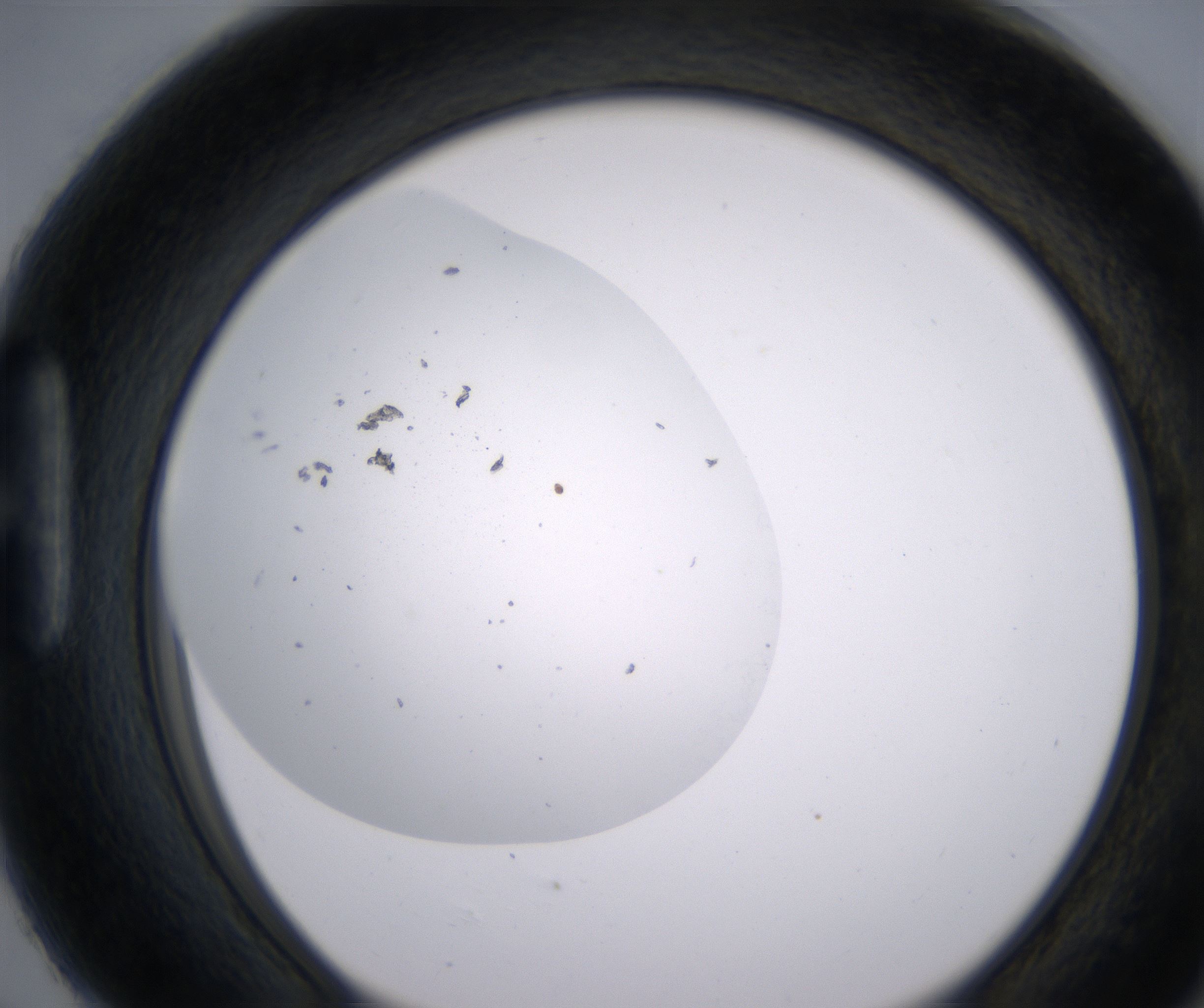 H6_HighResolution_Clear_1.jpg
