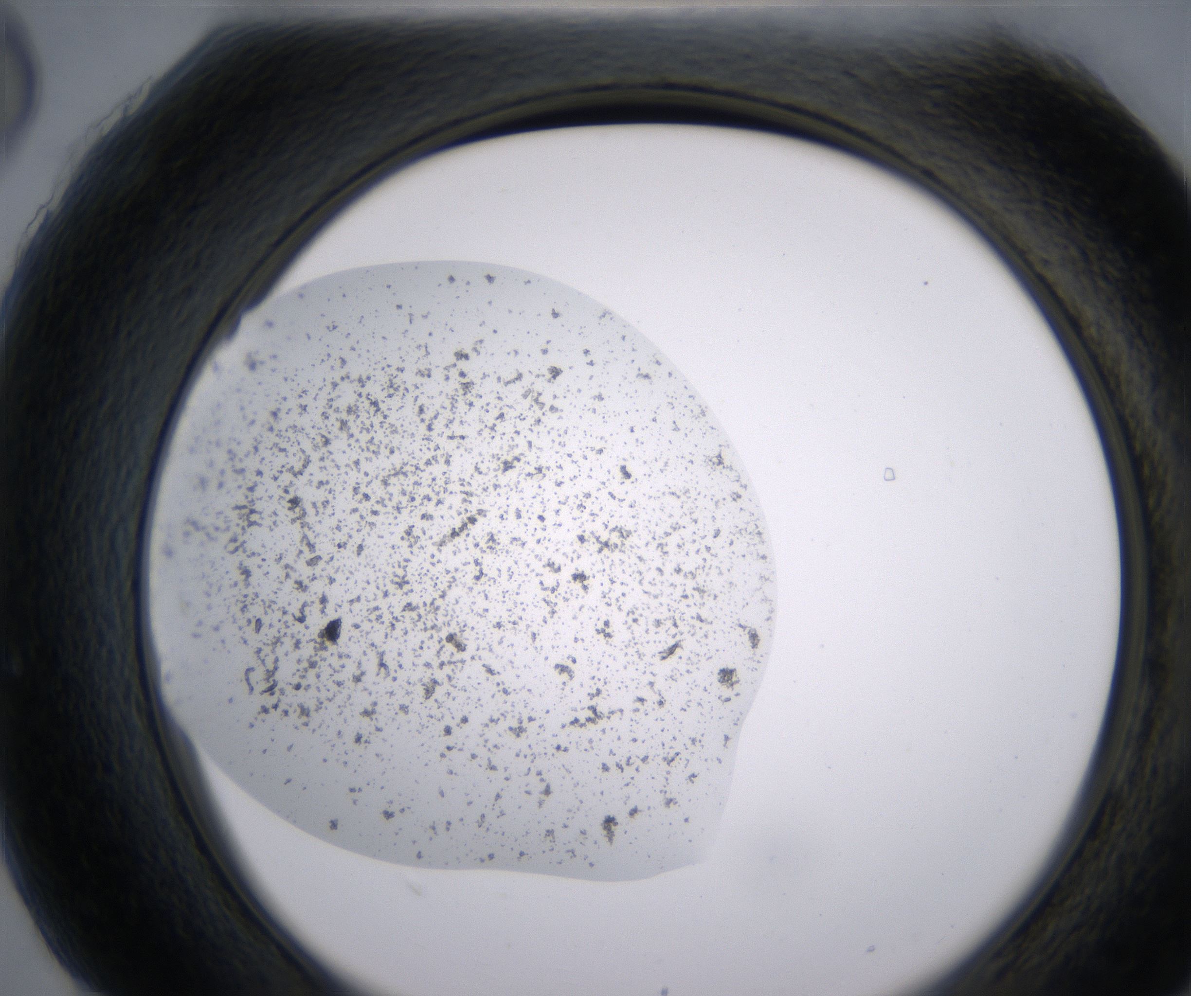 H6_HighResolution_Precipitate_2.jpg