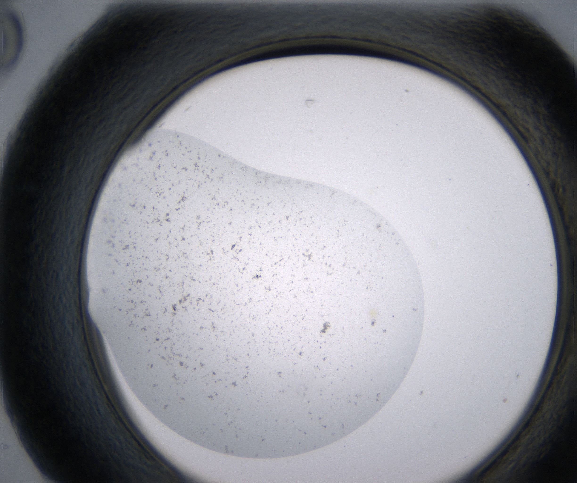 H8_HighResolution_Precipitate_2.jpg