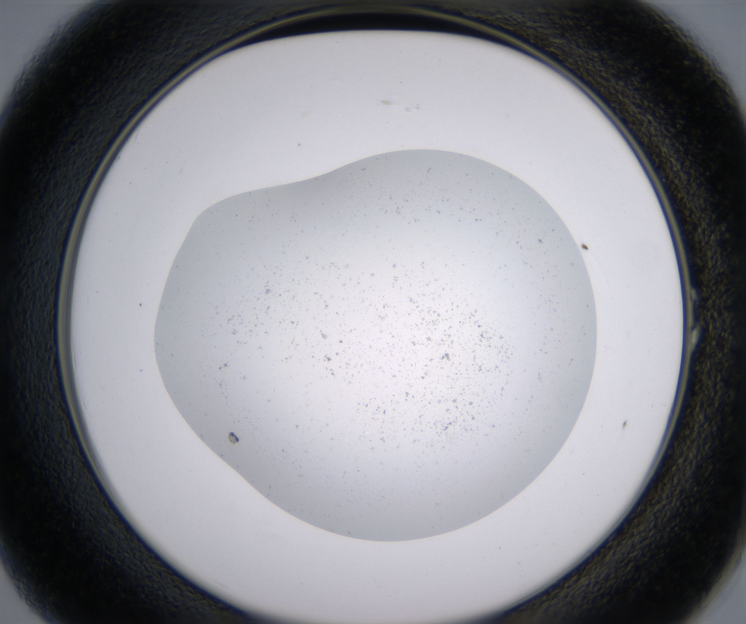A1_HighResolution_Precipitate_2.jpg