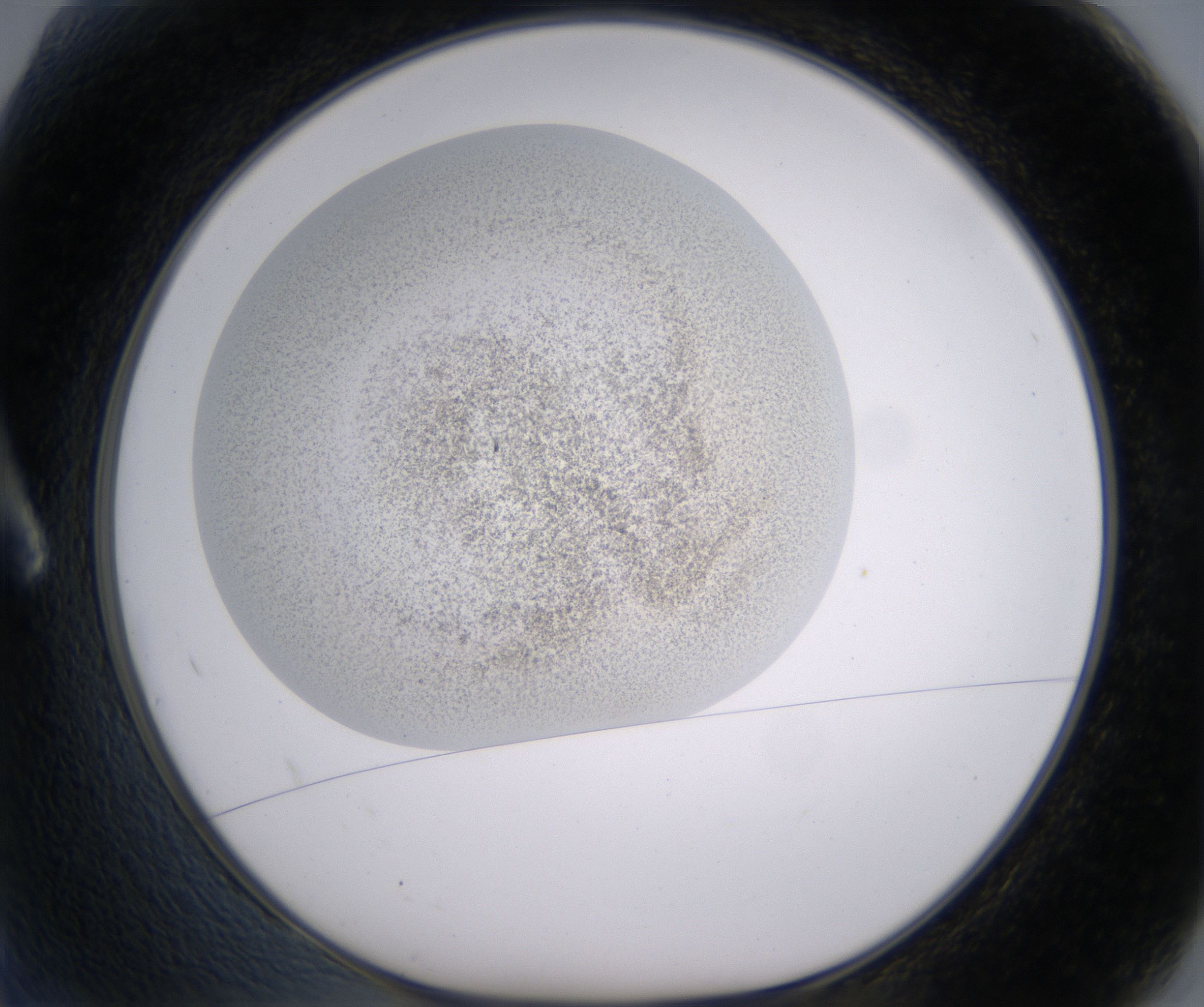 A2_HighResolution_Precipitate_1.jpg