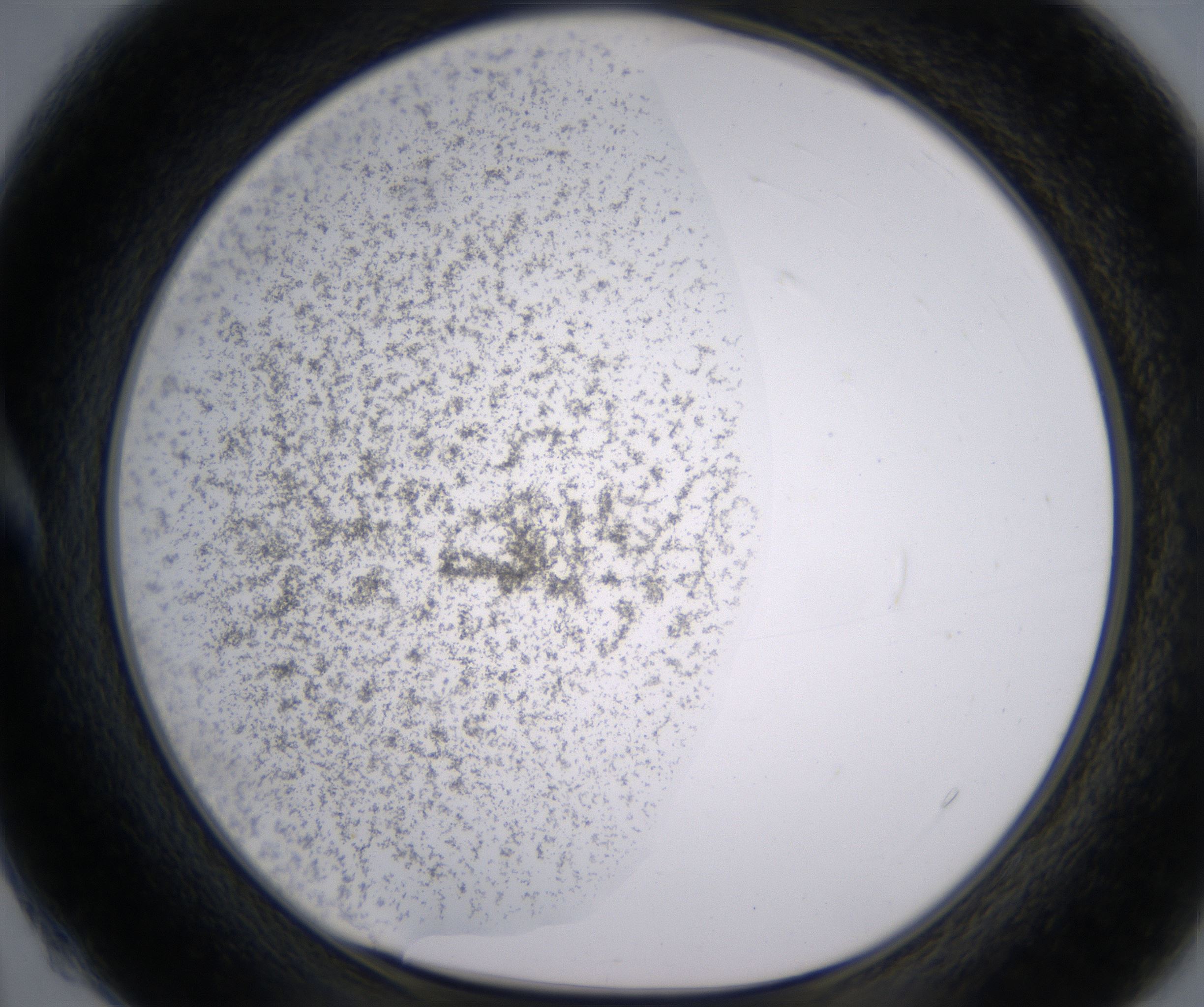 A4_HighResolution_Precipitate_1.jpg