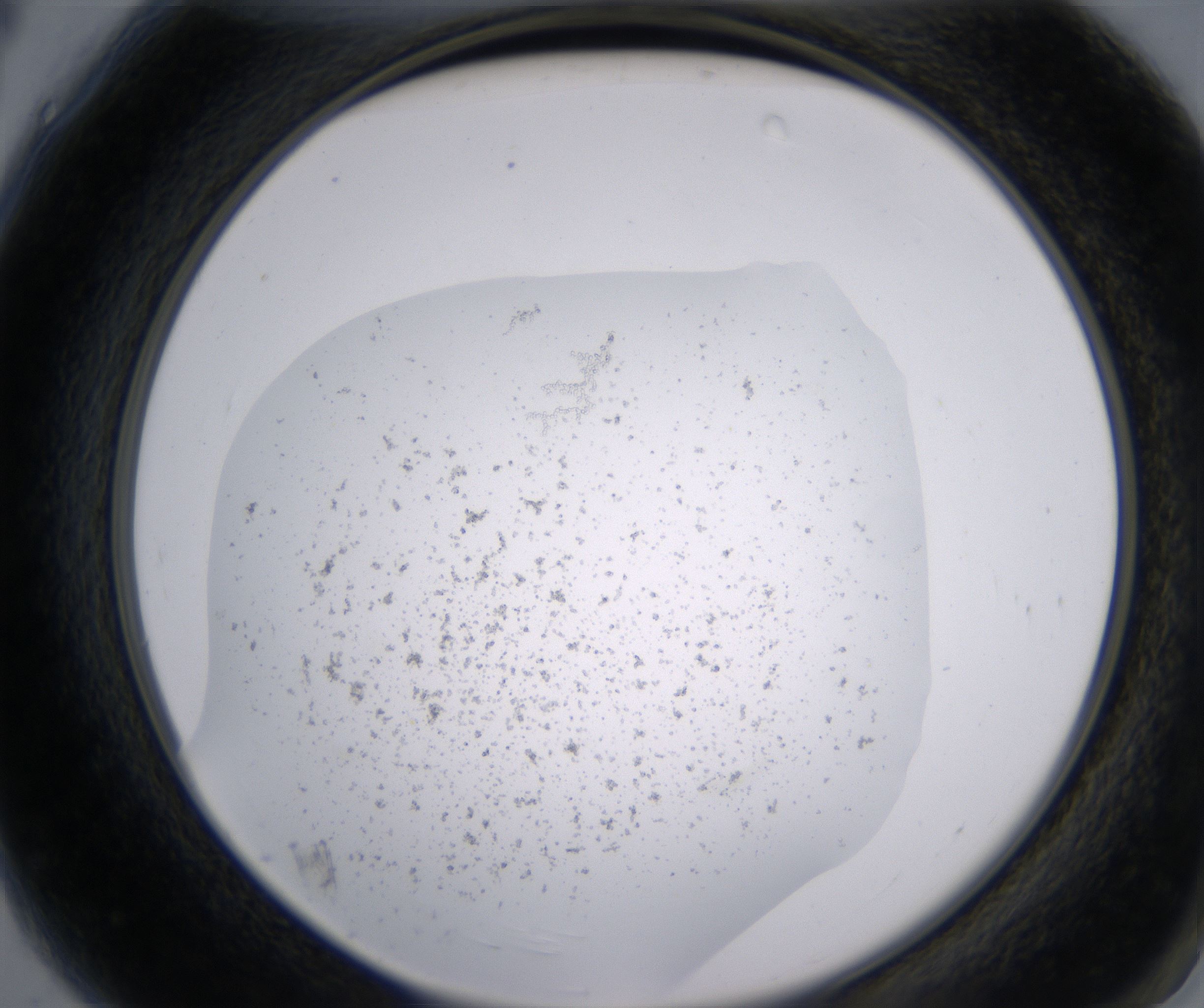 A4_HighResolution_Precipitate_2.jpg