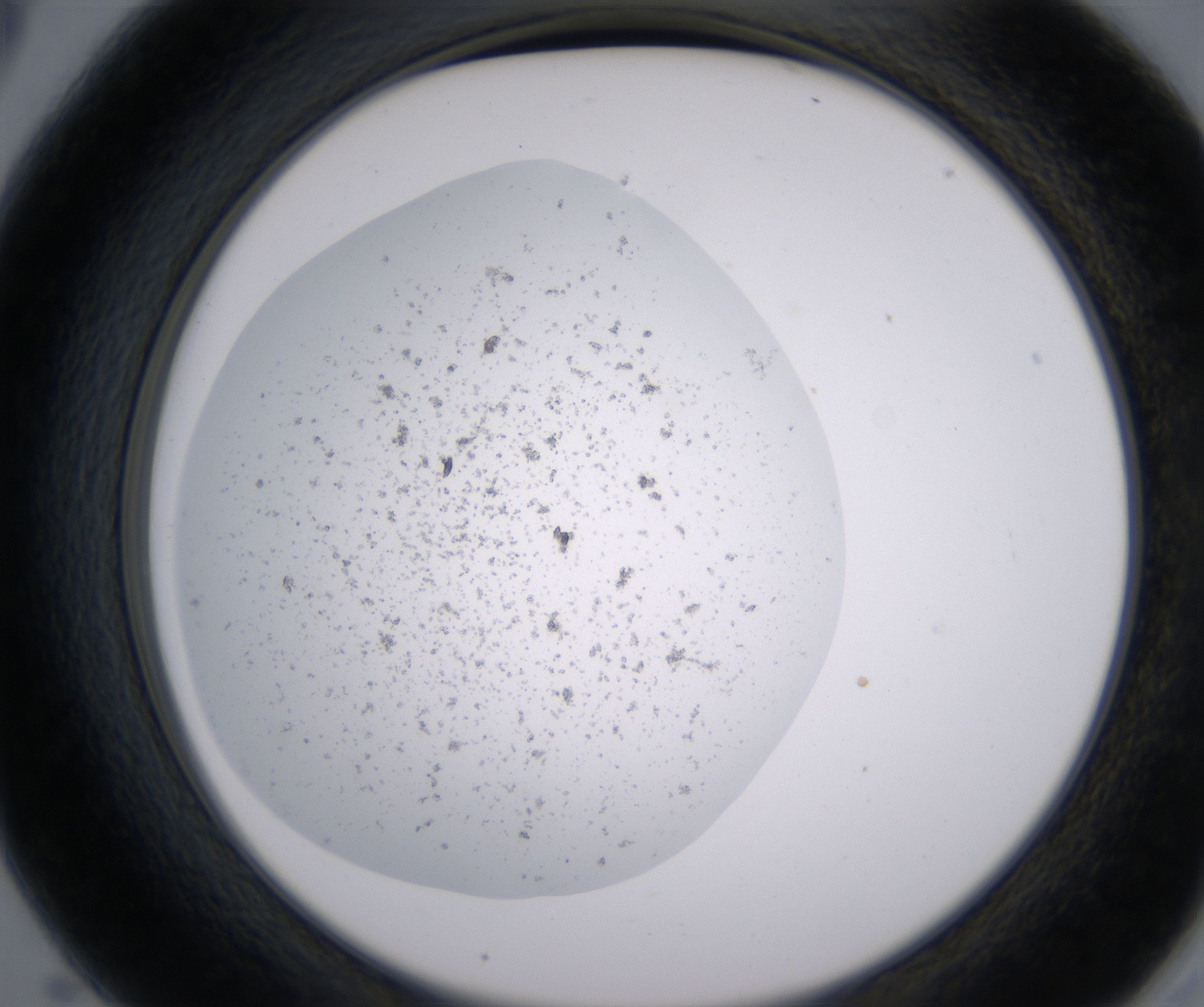 A5_HighResolution_Precipitate_2.jpg