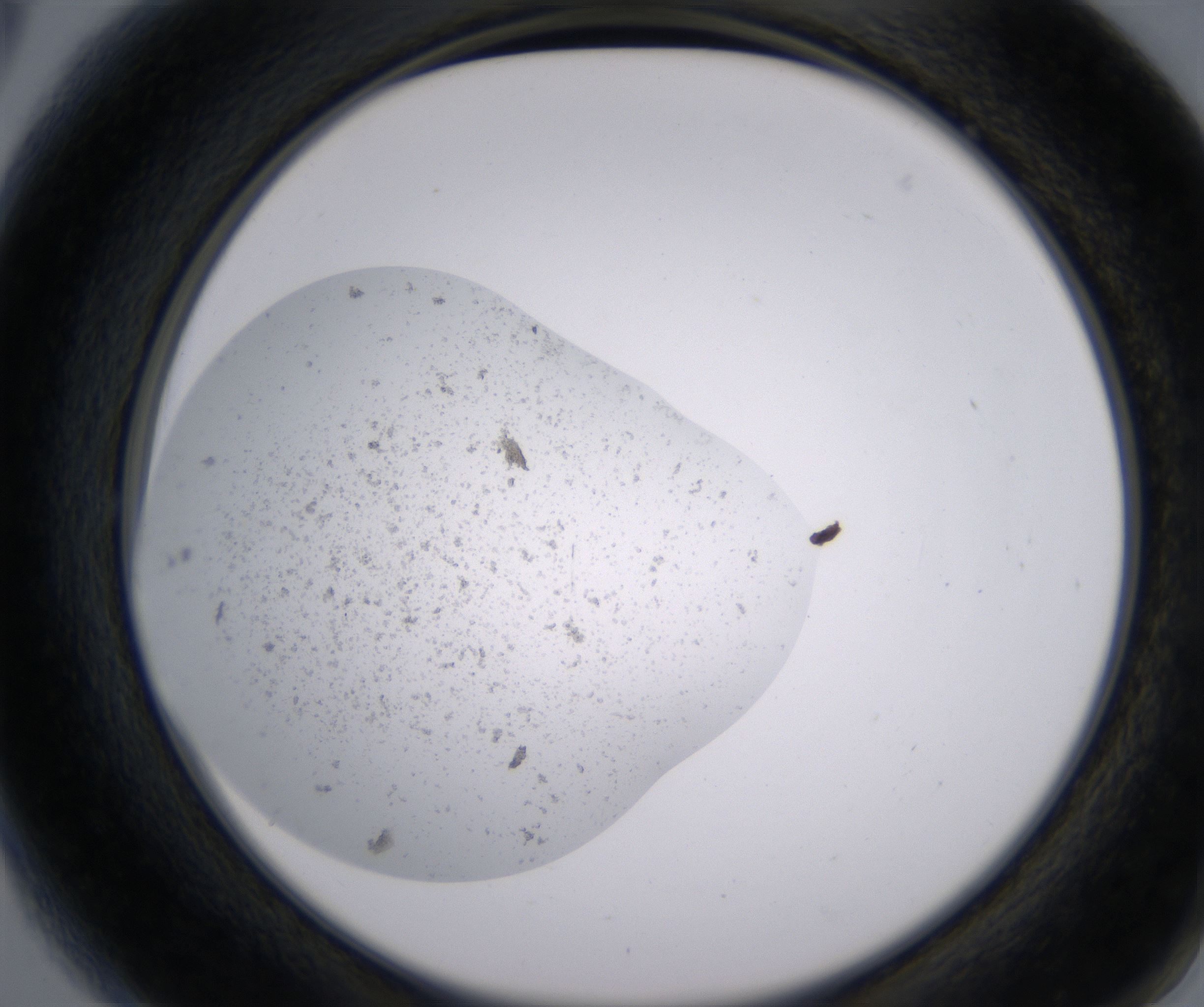 A6_HighResolution_Precipitate_2.jpg