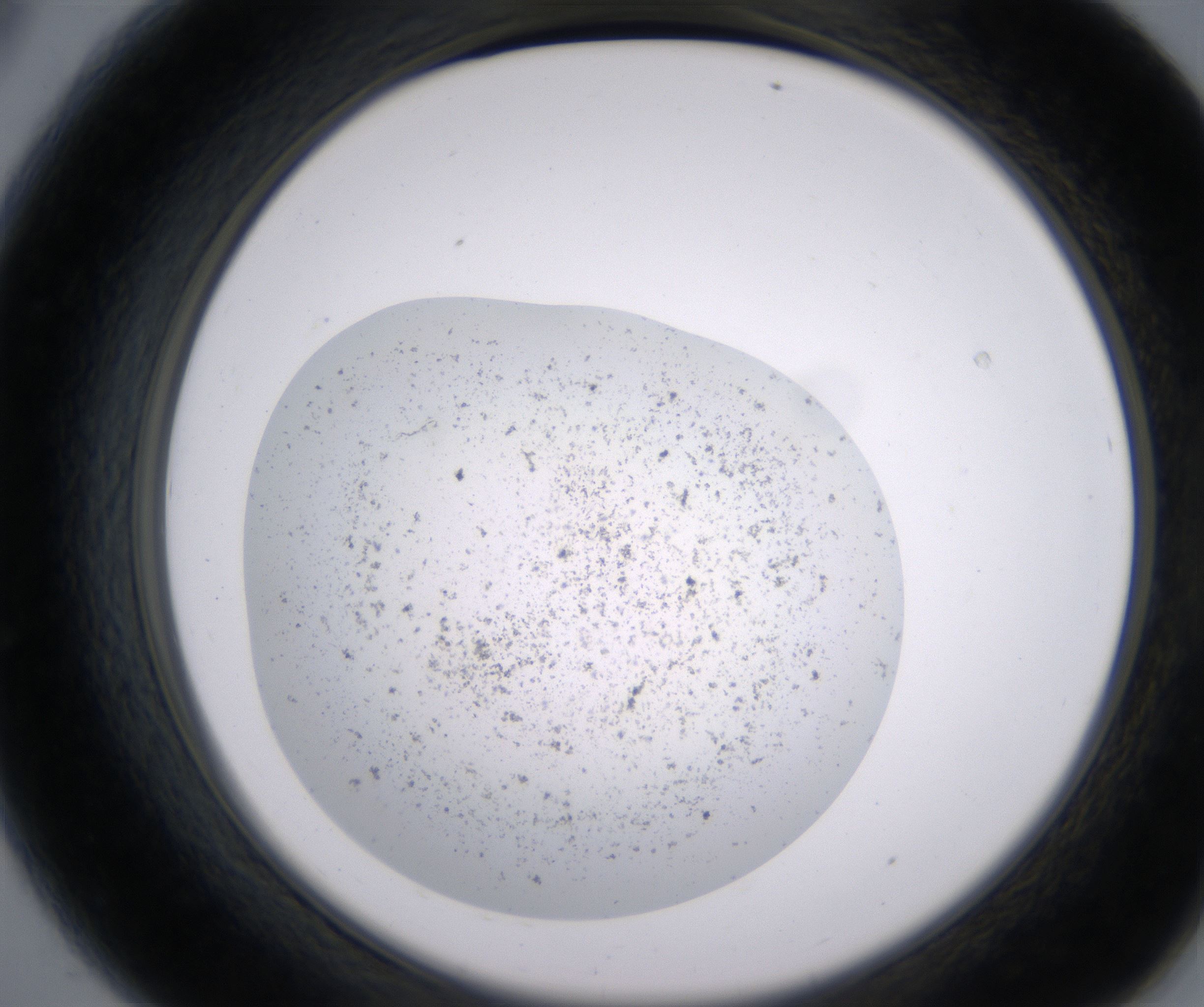 A8_HighResolution_Precipitate_2.jpg
