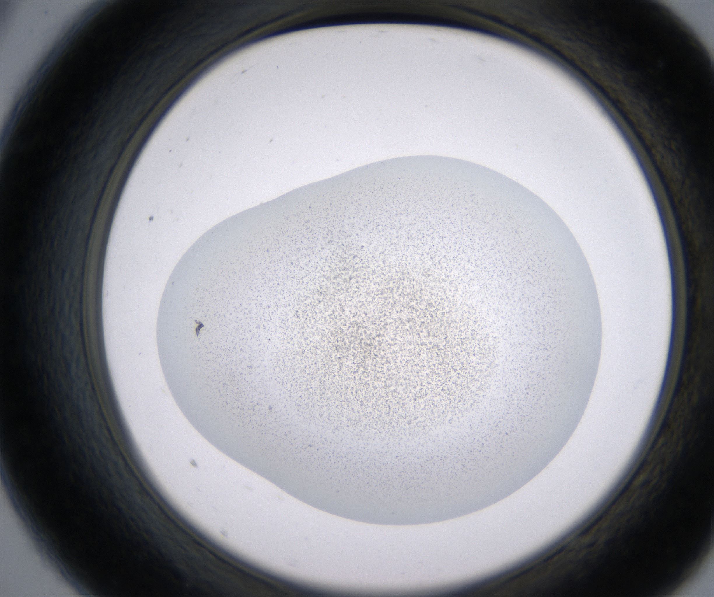 A9_HighResolution_Precipitate_2.jpg