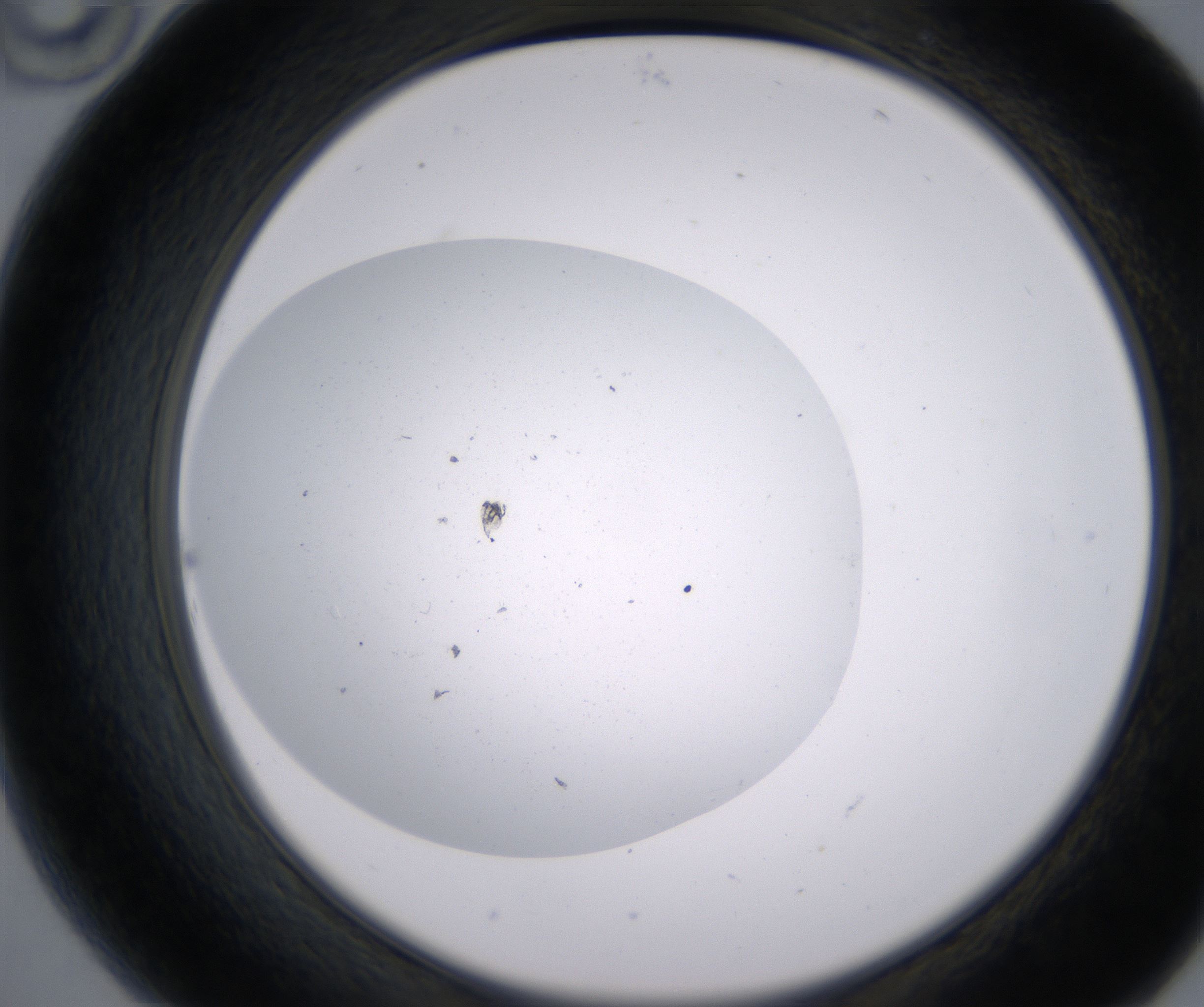 B10_HighResolution_Clear_2.jpg