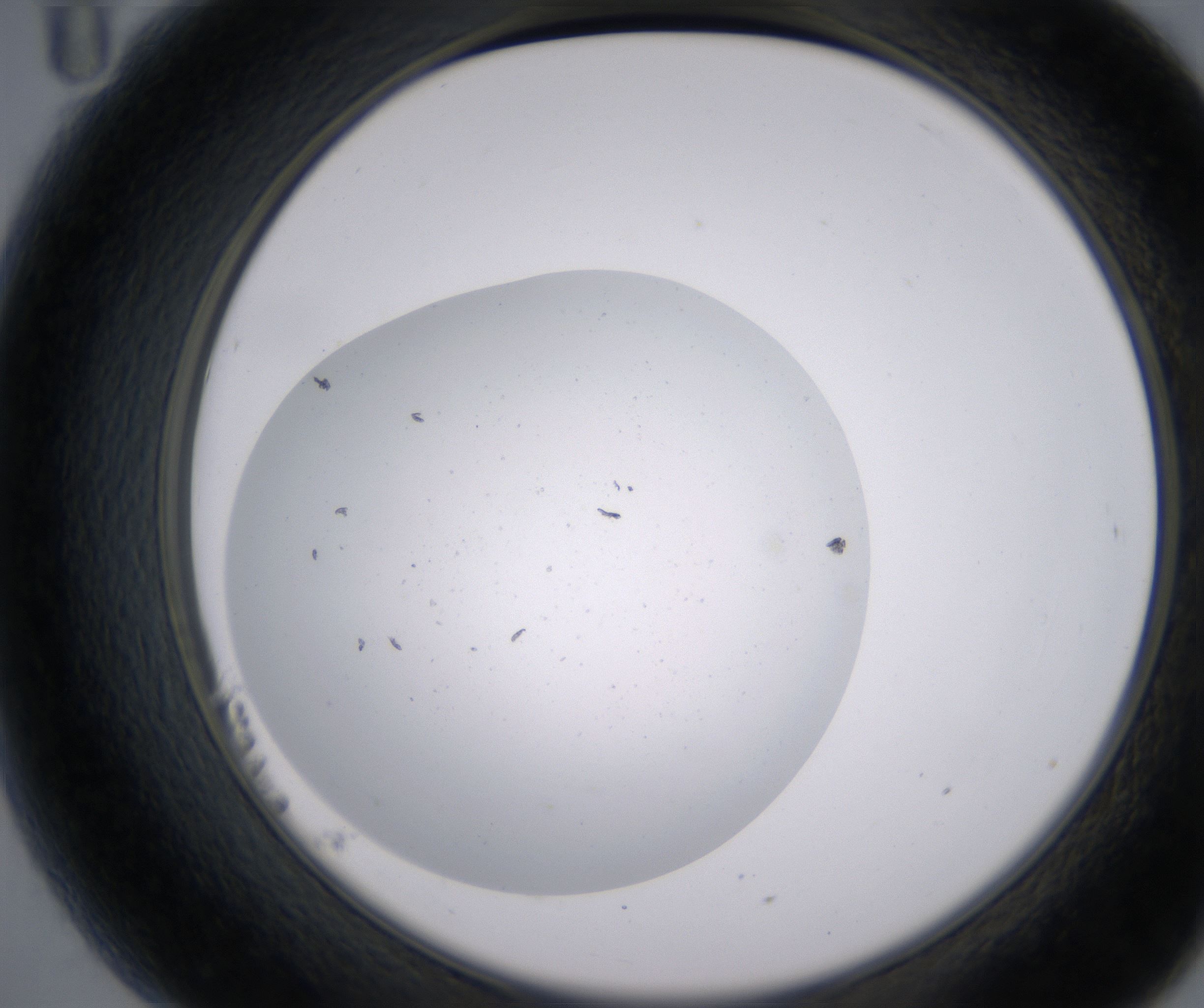 B11_HighResolution_Clear_2.jpg