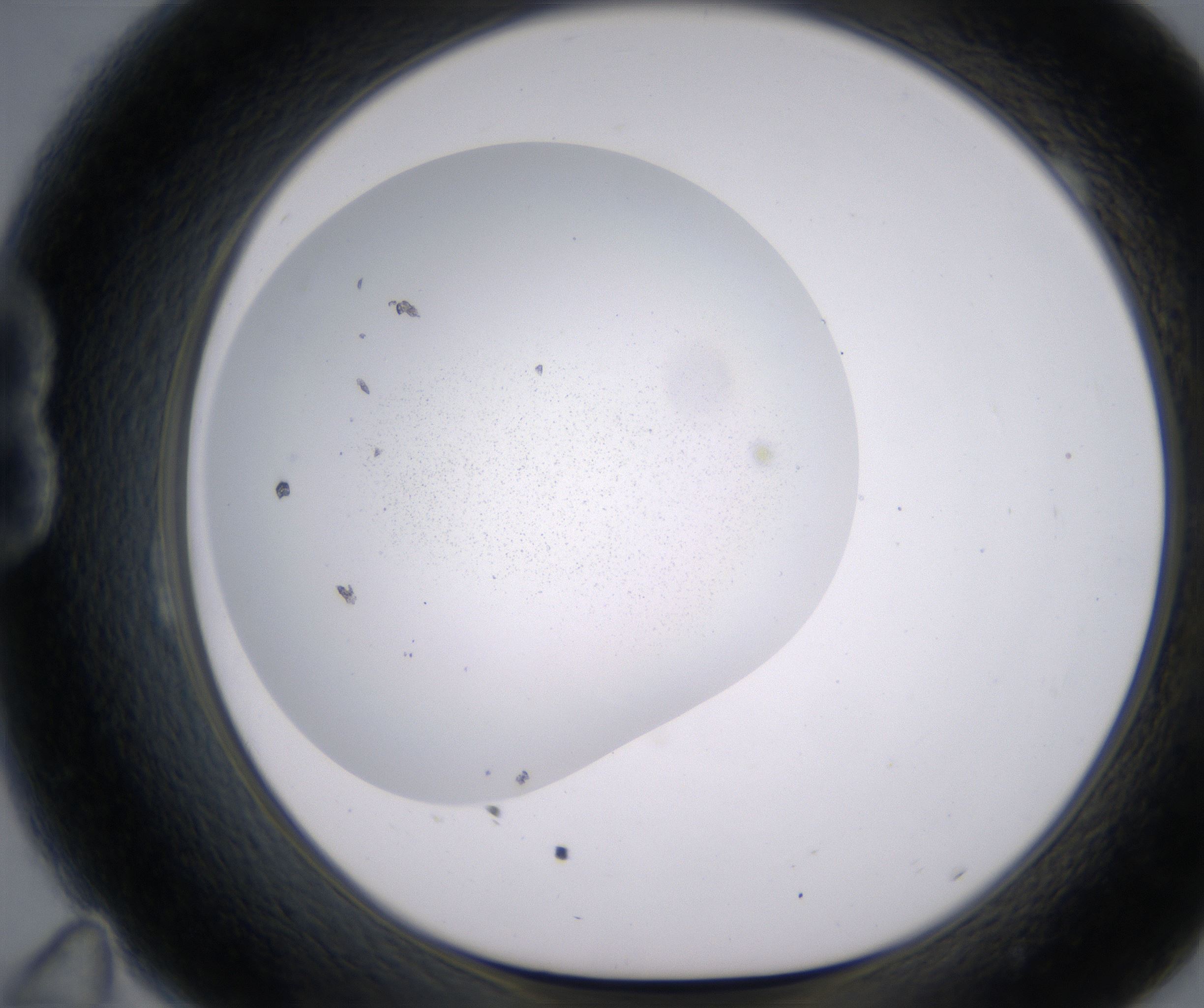 B11_HighResolution_Precipitate_1.jpg