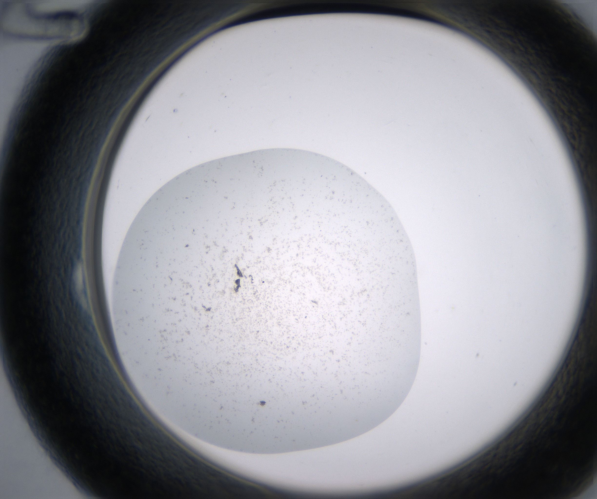 B12_HighResolution_Precipitate_2.jpg
