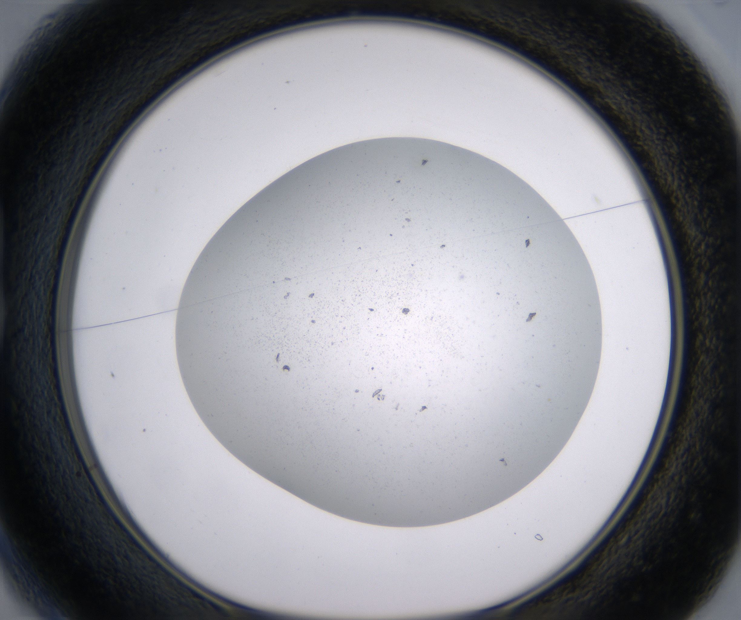 B1_HighResolution_Precipitate_1.jpg