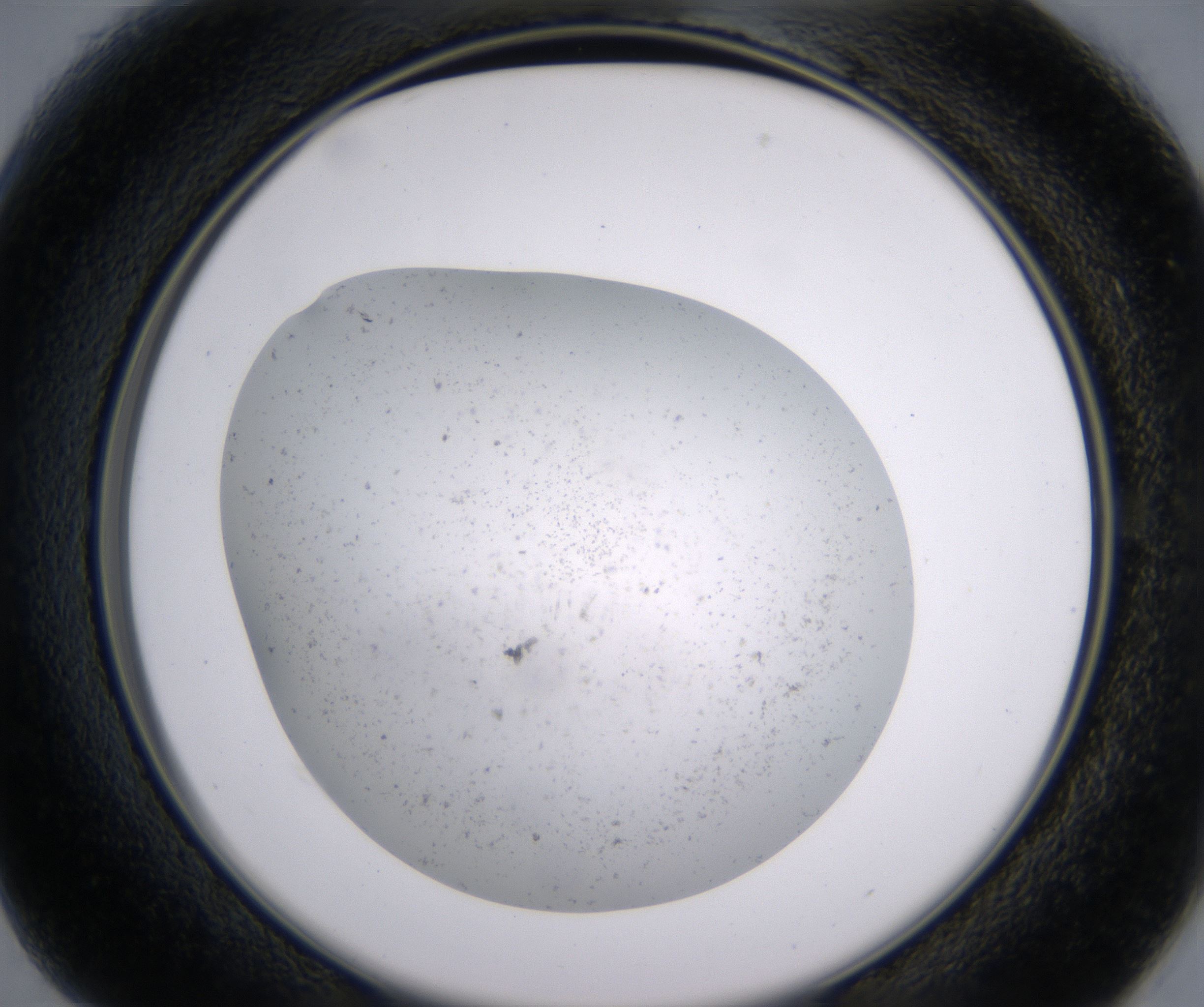 B1_HighResolution_Precipitate_2.jpg