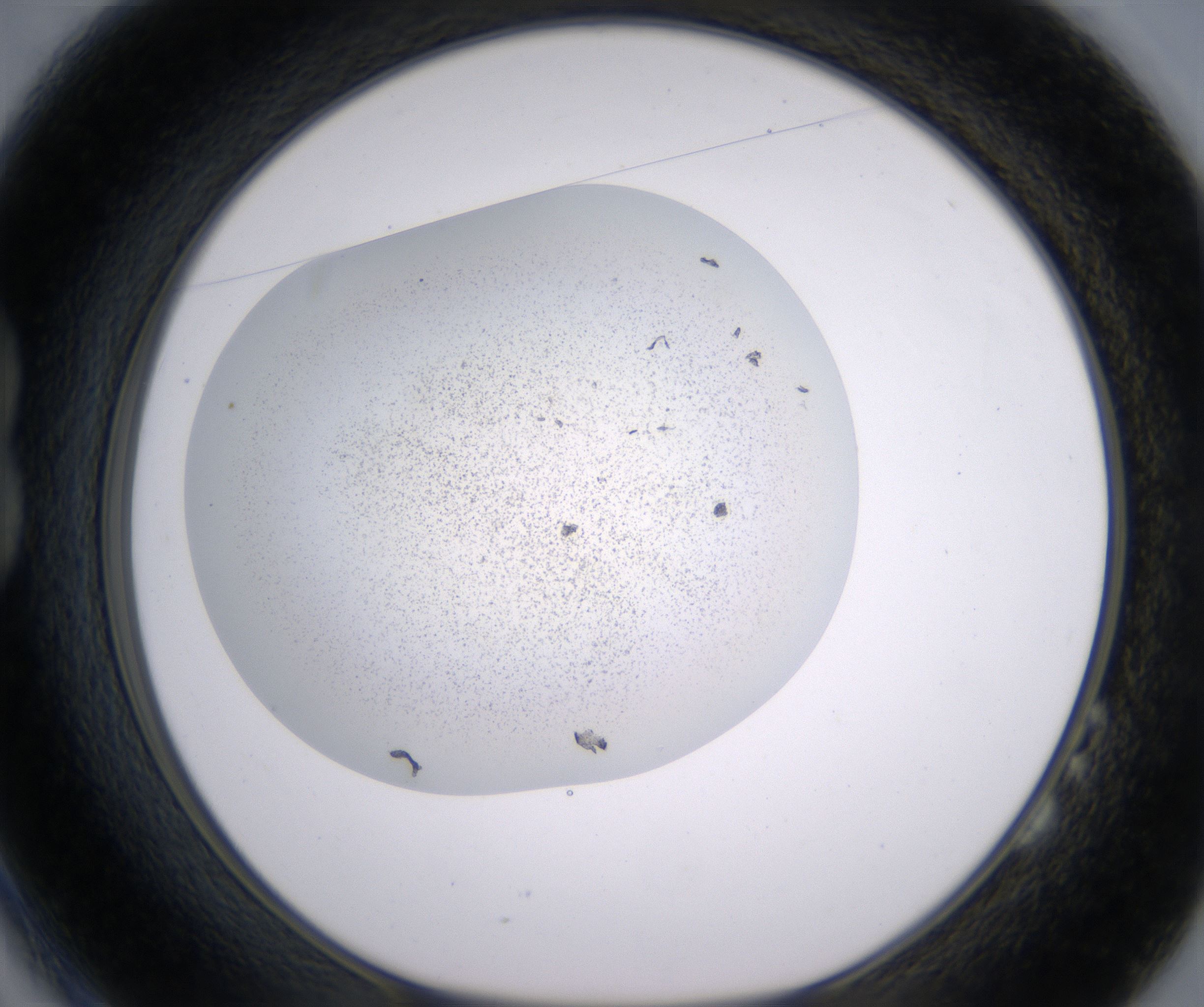 B2_HighResolution_Precipitate_1.jpg