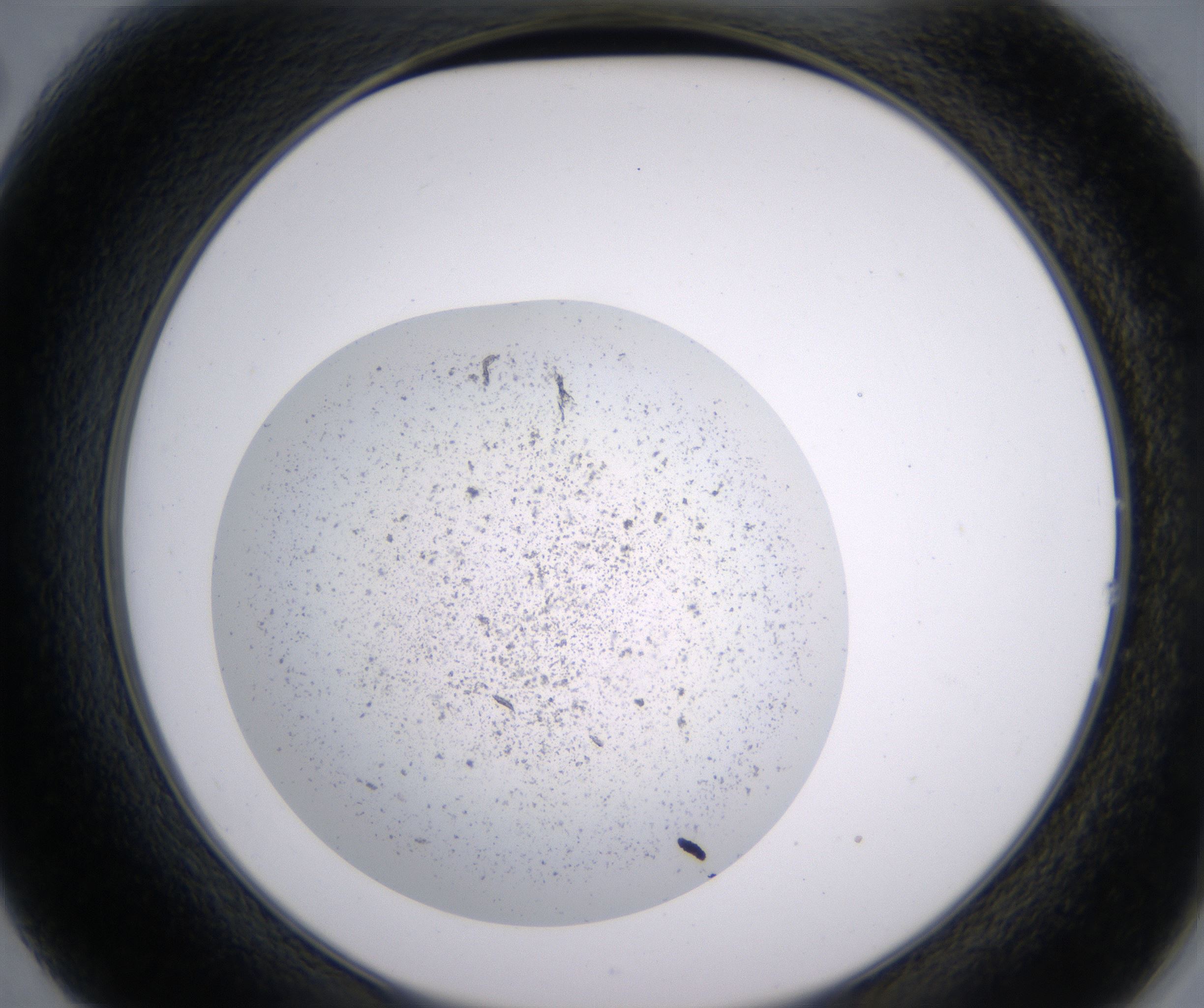 B2_HighResolution_Precipitate_2.jpg