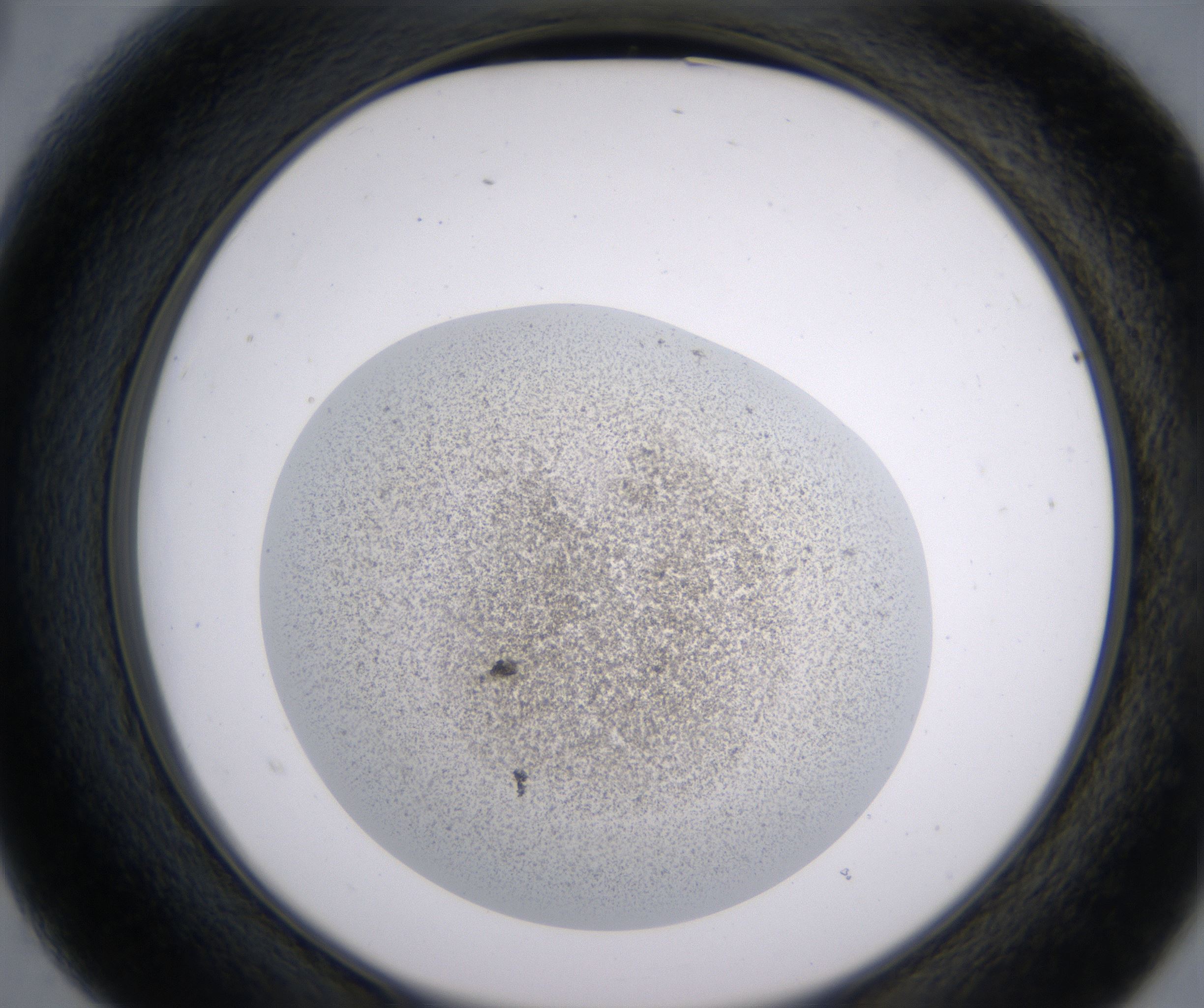 B3_HighResolution_Precipitate_2.jpg