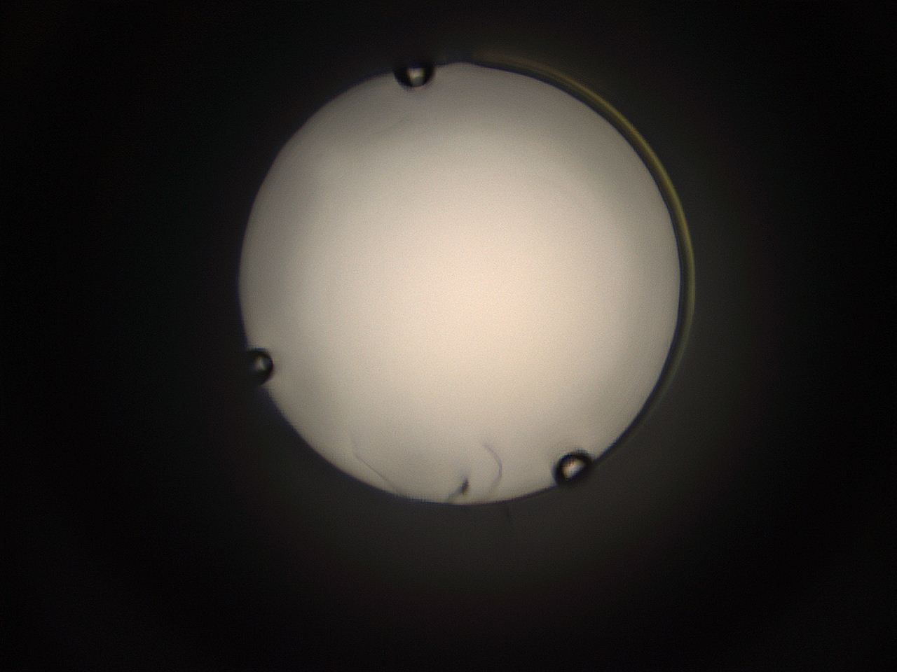 05jg_M8_ImagerDefaults_1.jpg