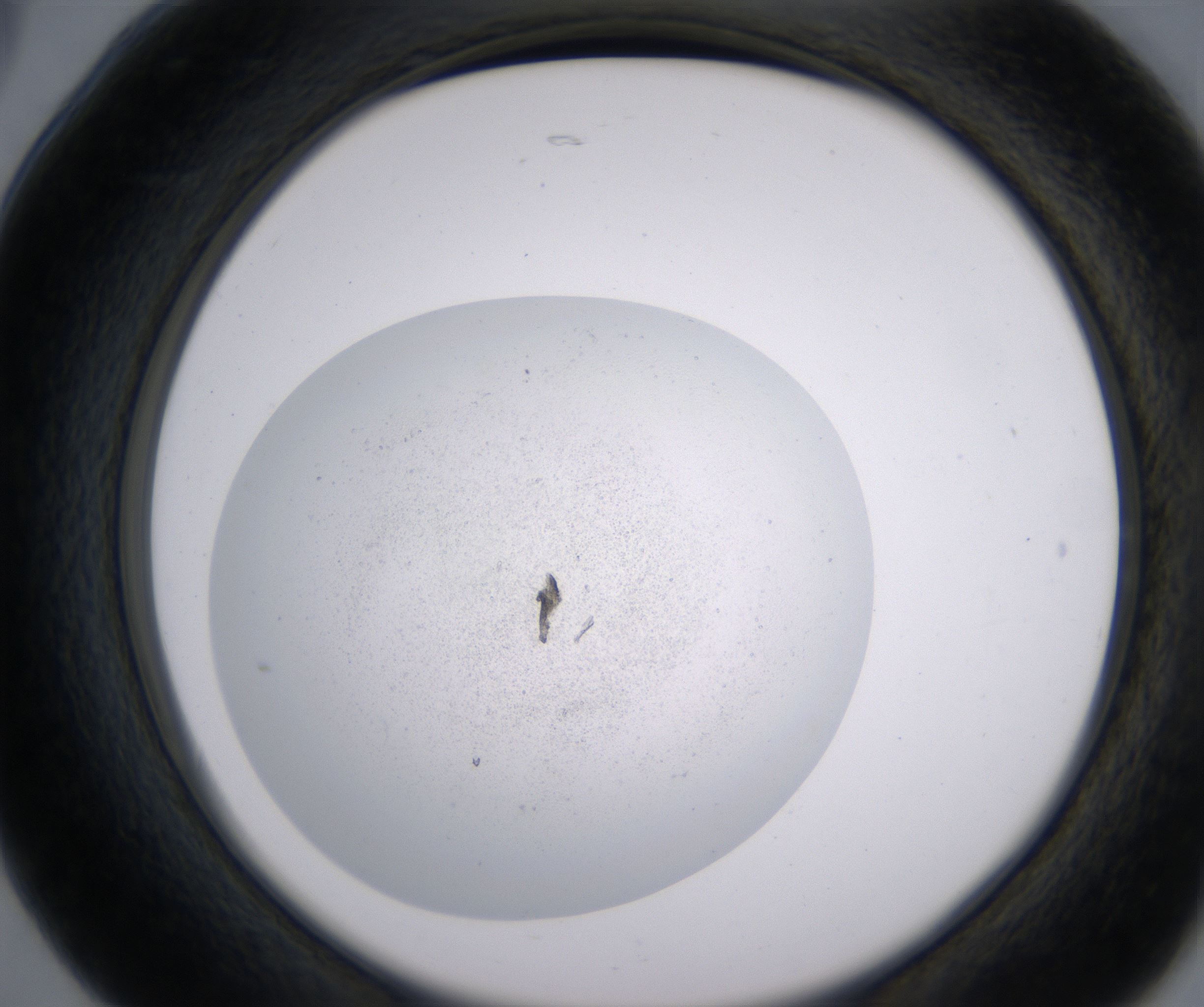 B5_HighResolution_Precipitate_2.jpg