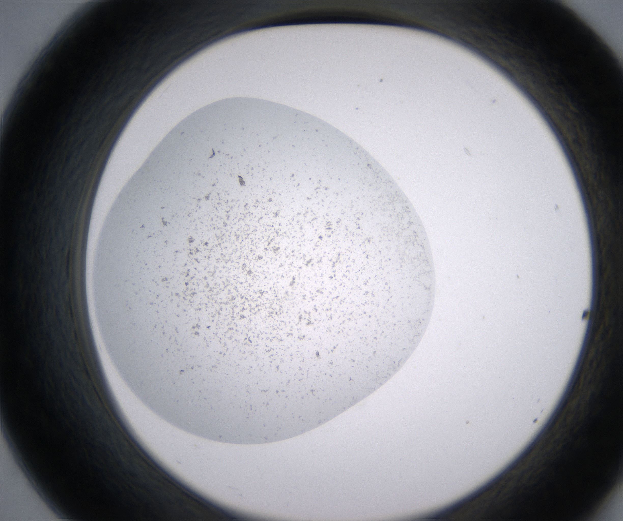 B7_HighResolution_Precipitate_2.jpg