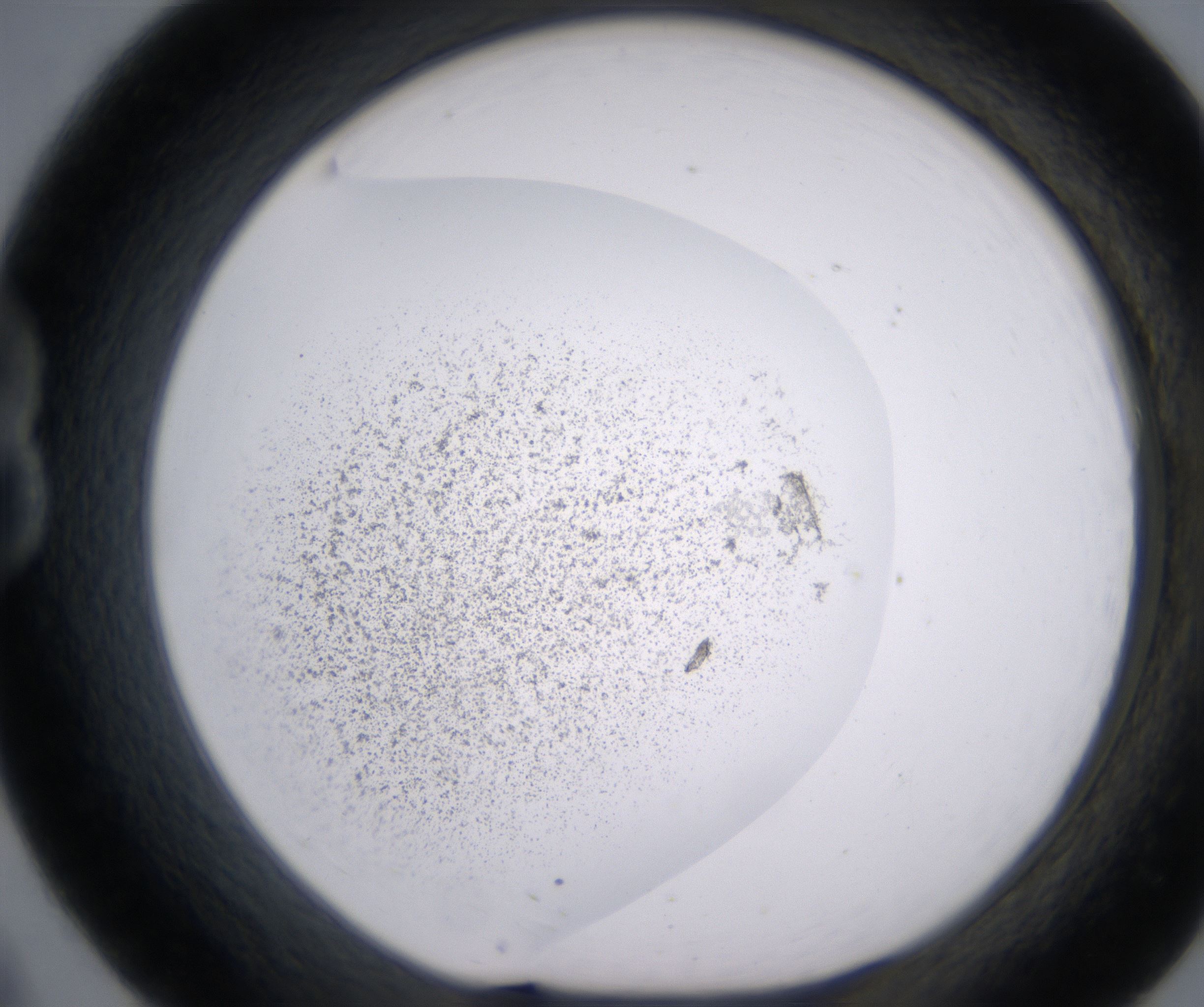 B8_HighResolution_Precipitate_1.jpg