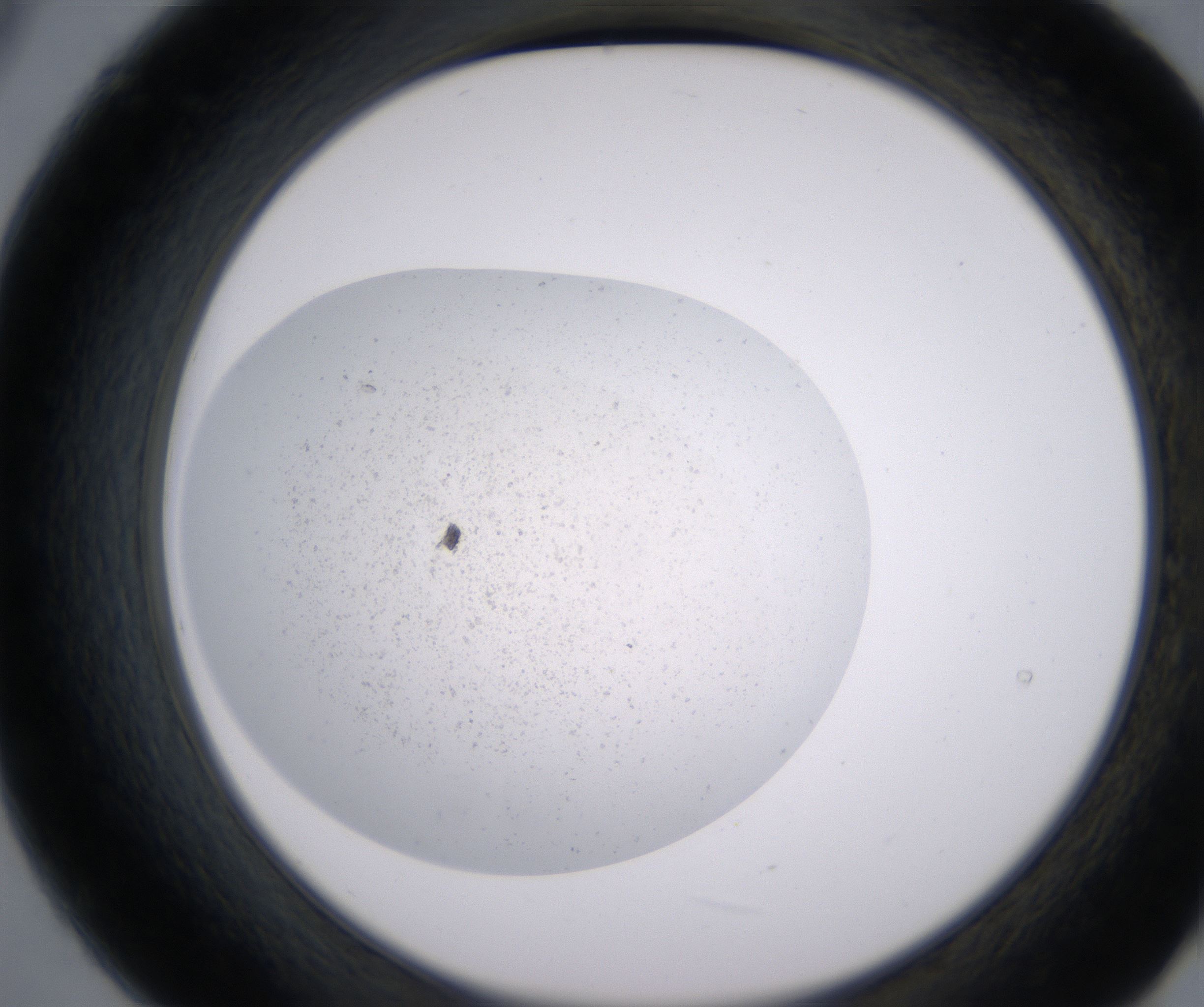 B9_HighResolution_Precipitate_2.jpg