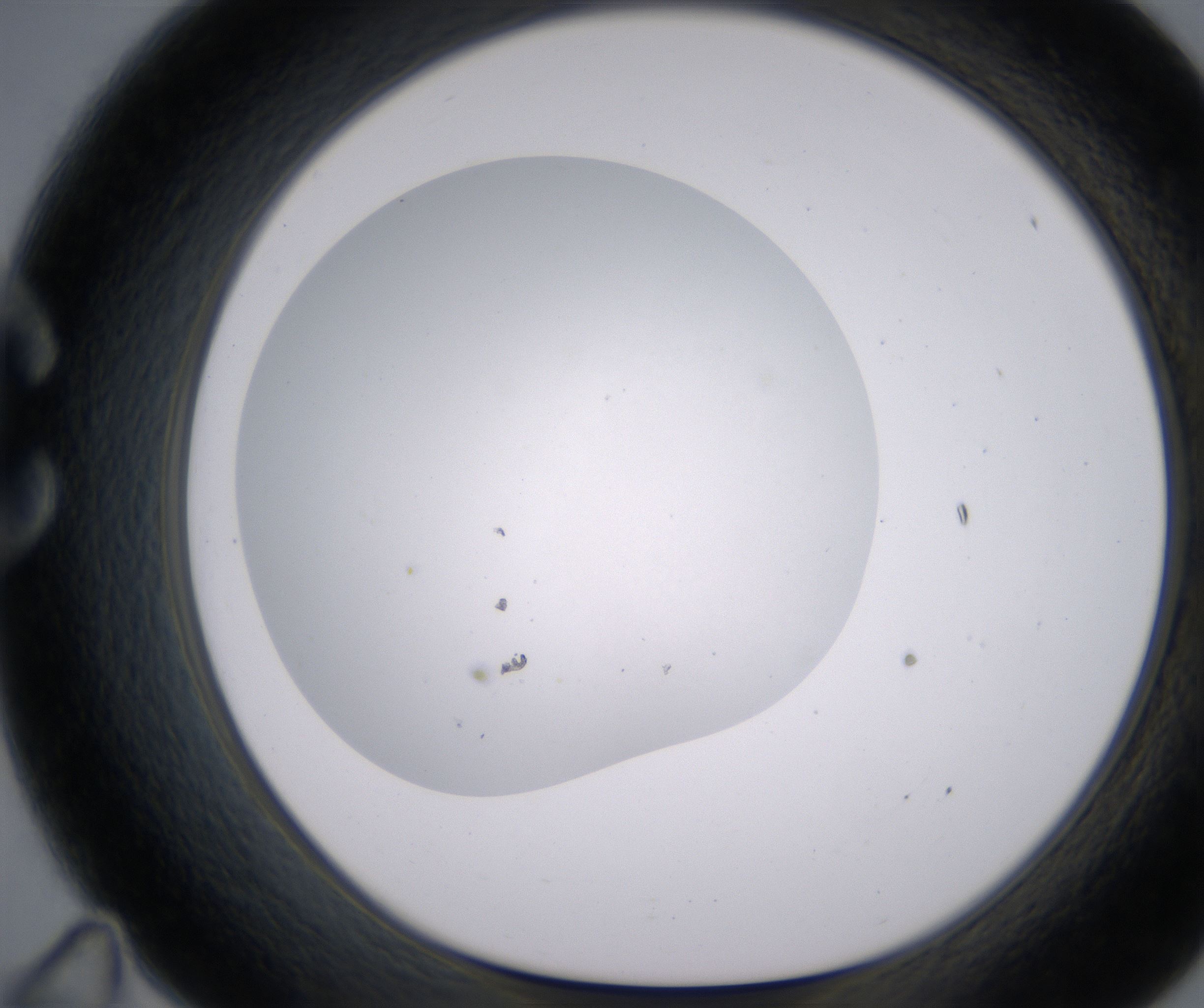 C11_HighResolution_Clear_1.jpg