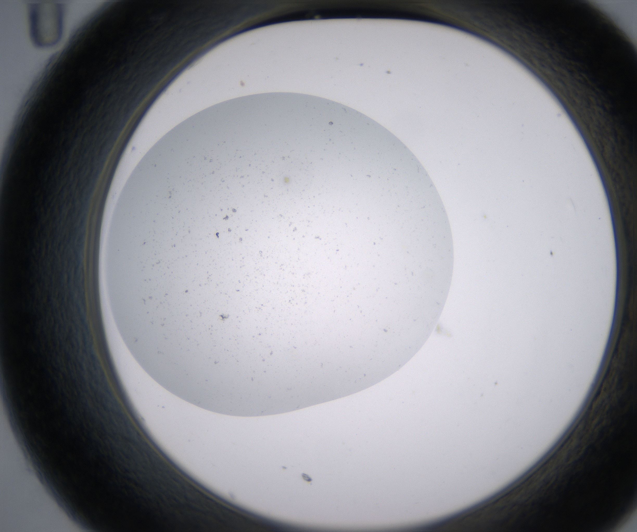 C11_HighResolution_Precipitate_2.jpg