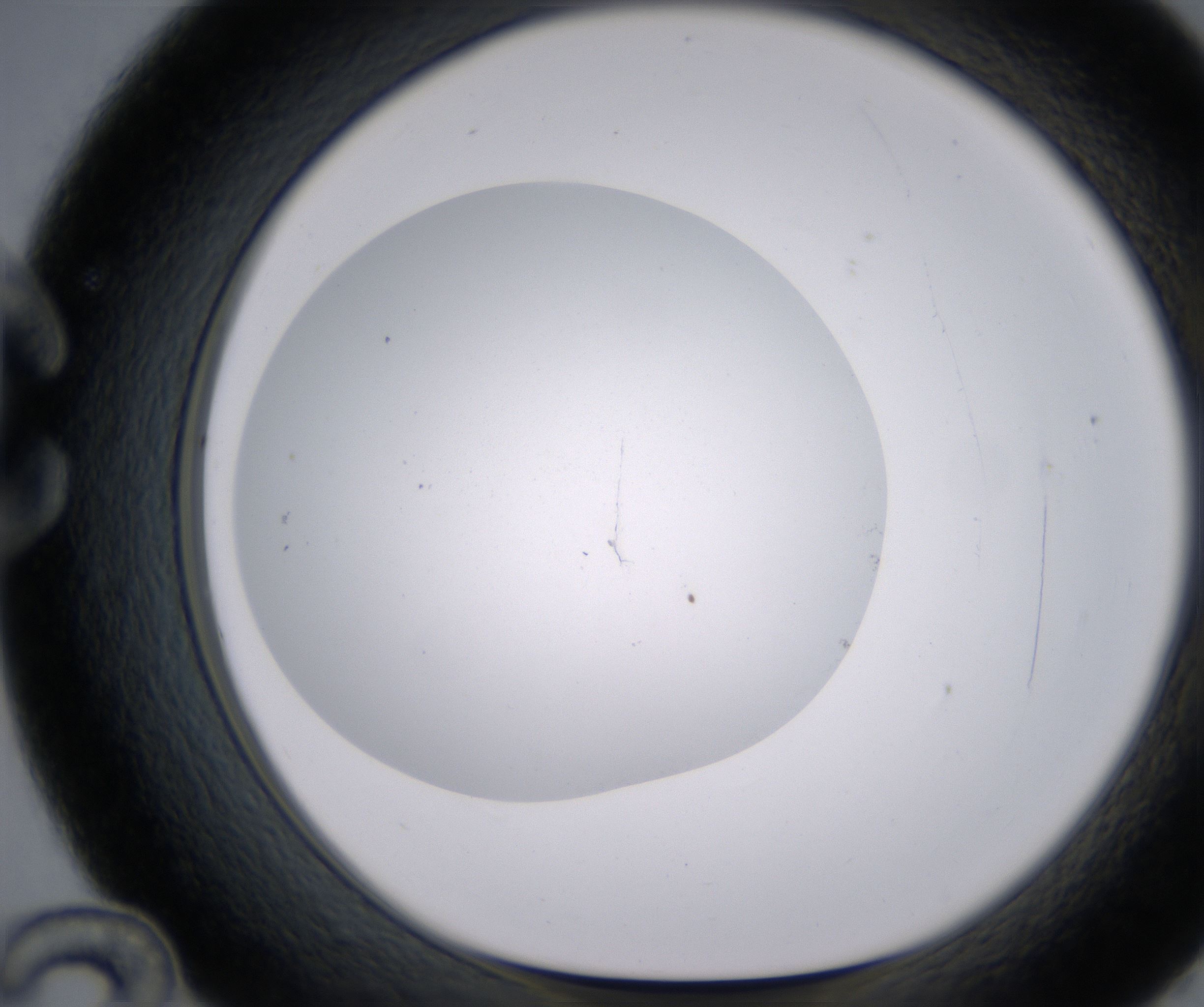 C12_HighResolution_Clear_1.jpg