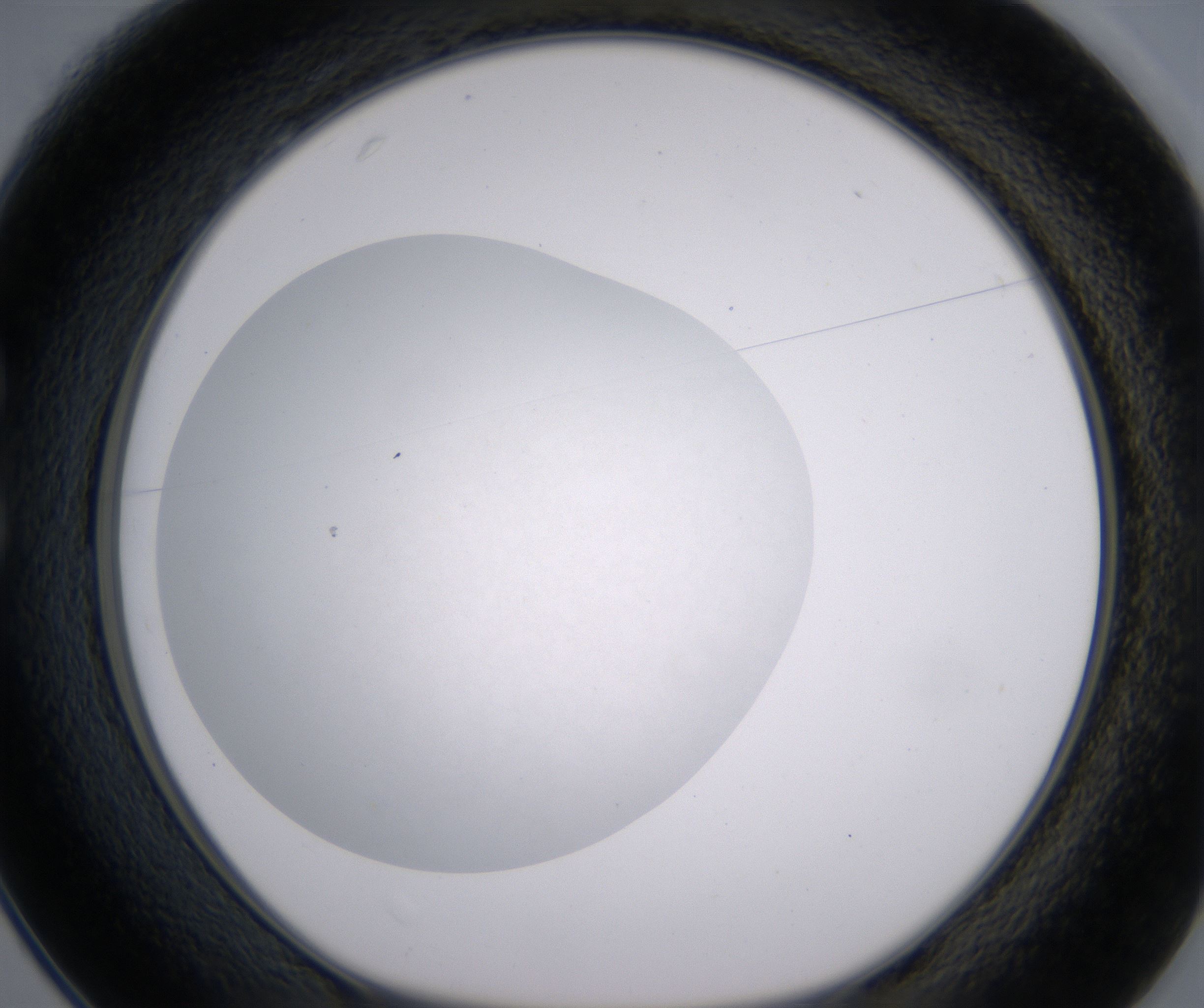 C1_HighResolution_Clear_1.jpg