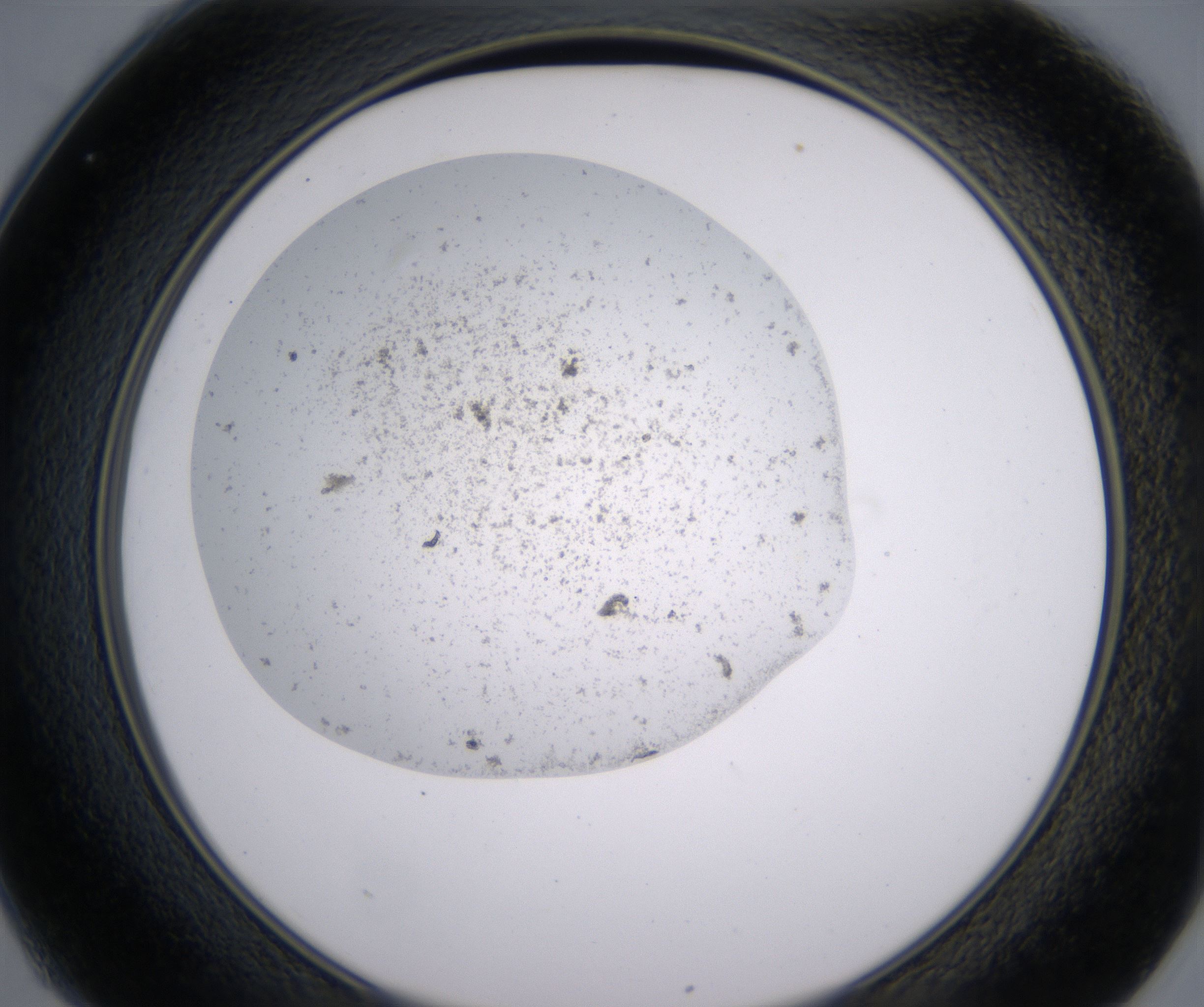 C1_HighResolution_Precipitate_2.jpg