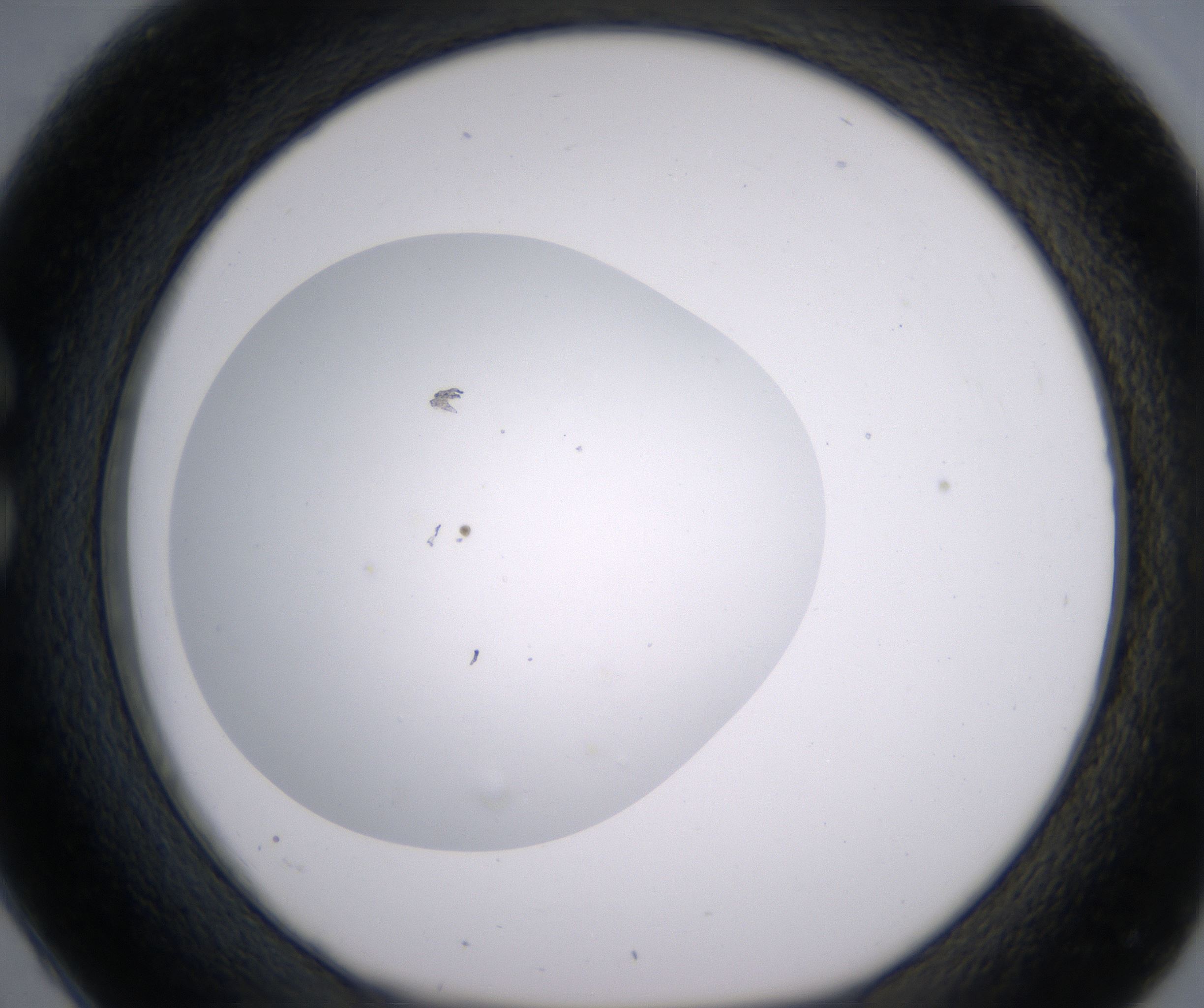 C2_HighResolution_Clear_1.jpg