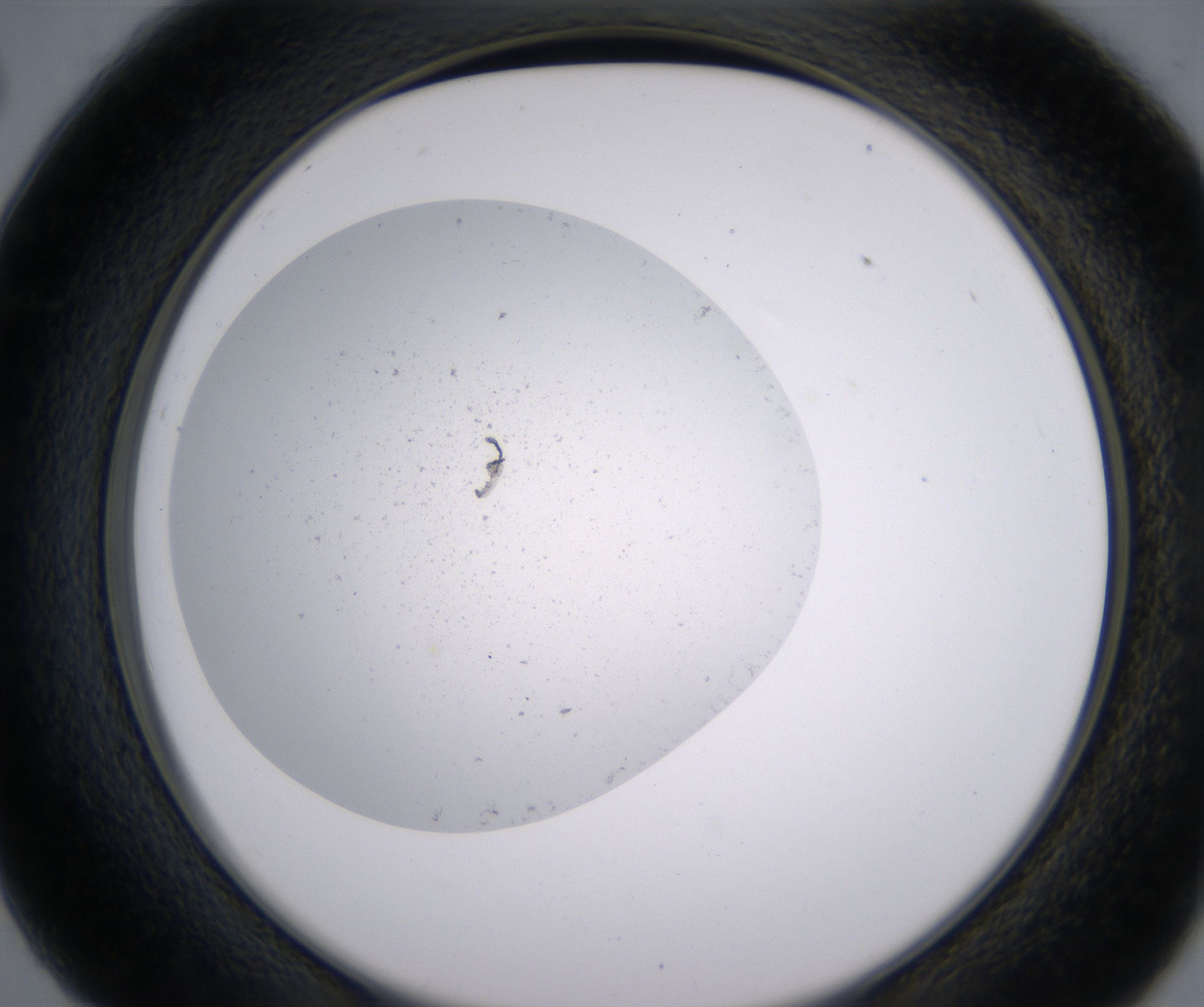 C2_HighResolution_Precipitate_2.jpg