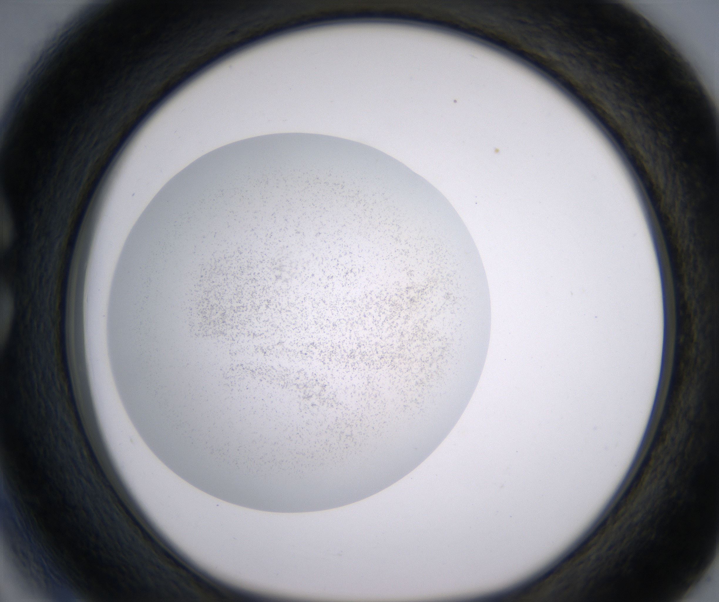 C3_HighResolution_Precipitate_1.jpg