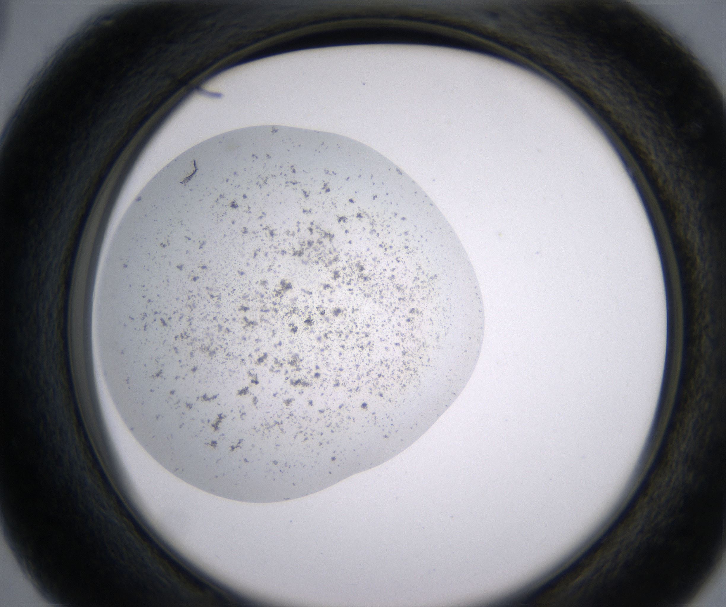 C3_HighResolution_Precipitate_2.jpg