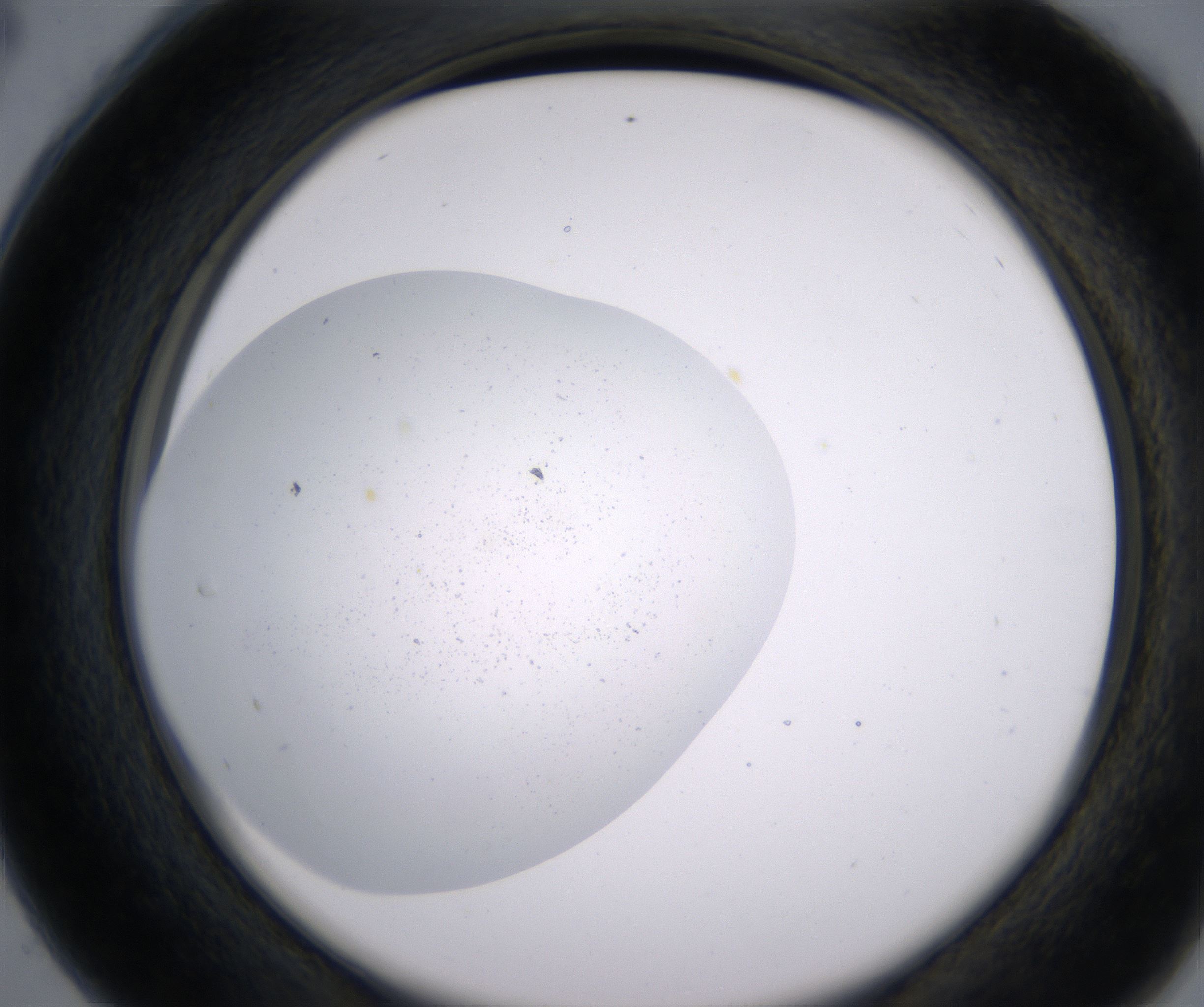C4_HighResolution_Precipitate_2.jpg