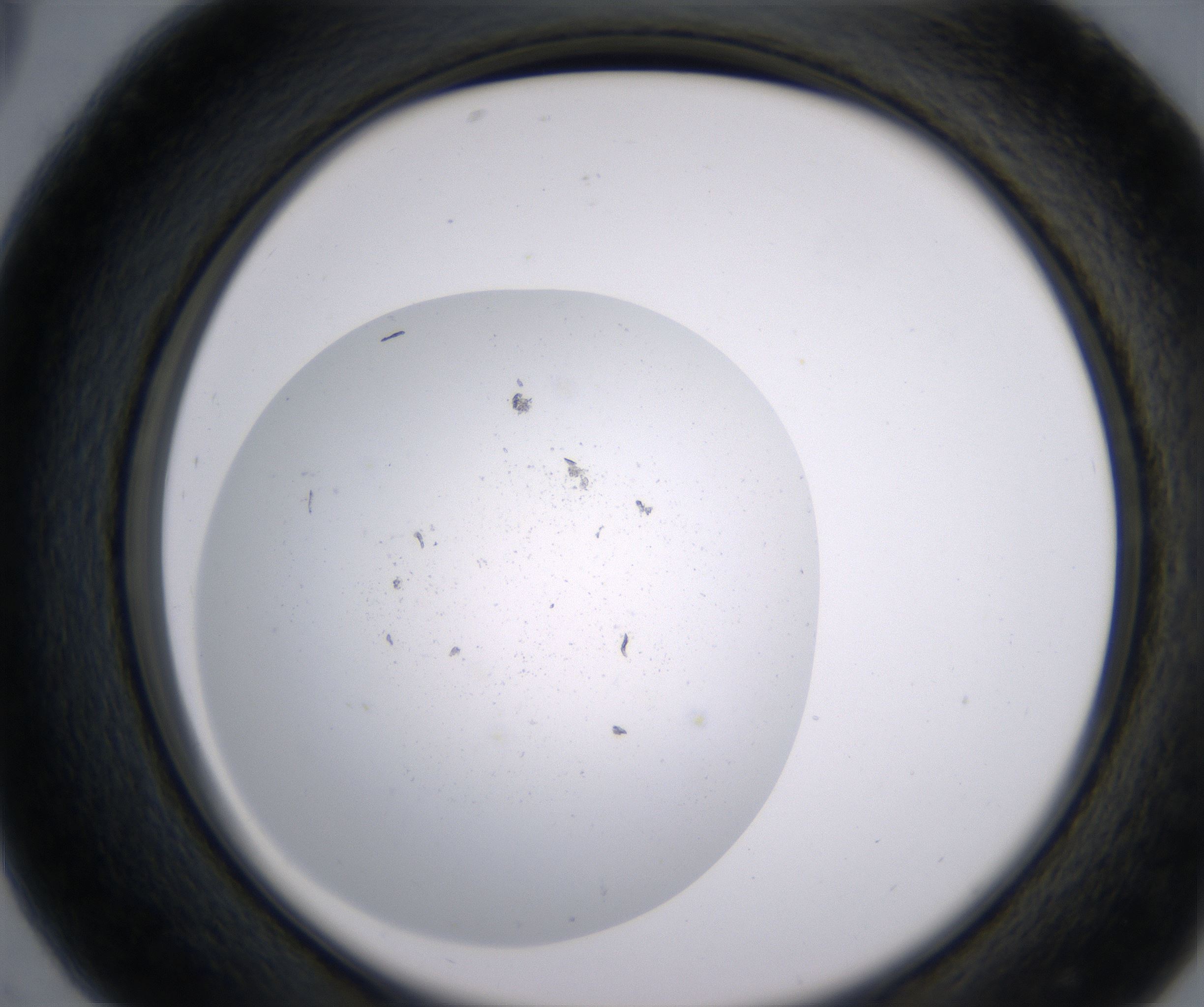 C5_HighResolution_Precipitate_2.jpg