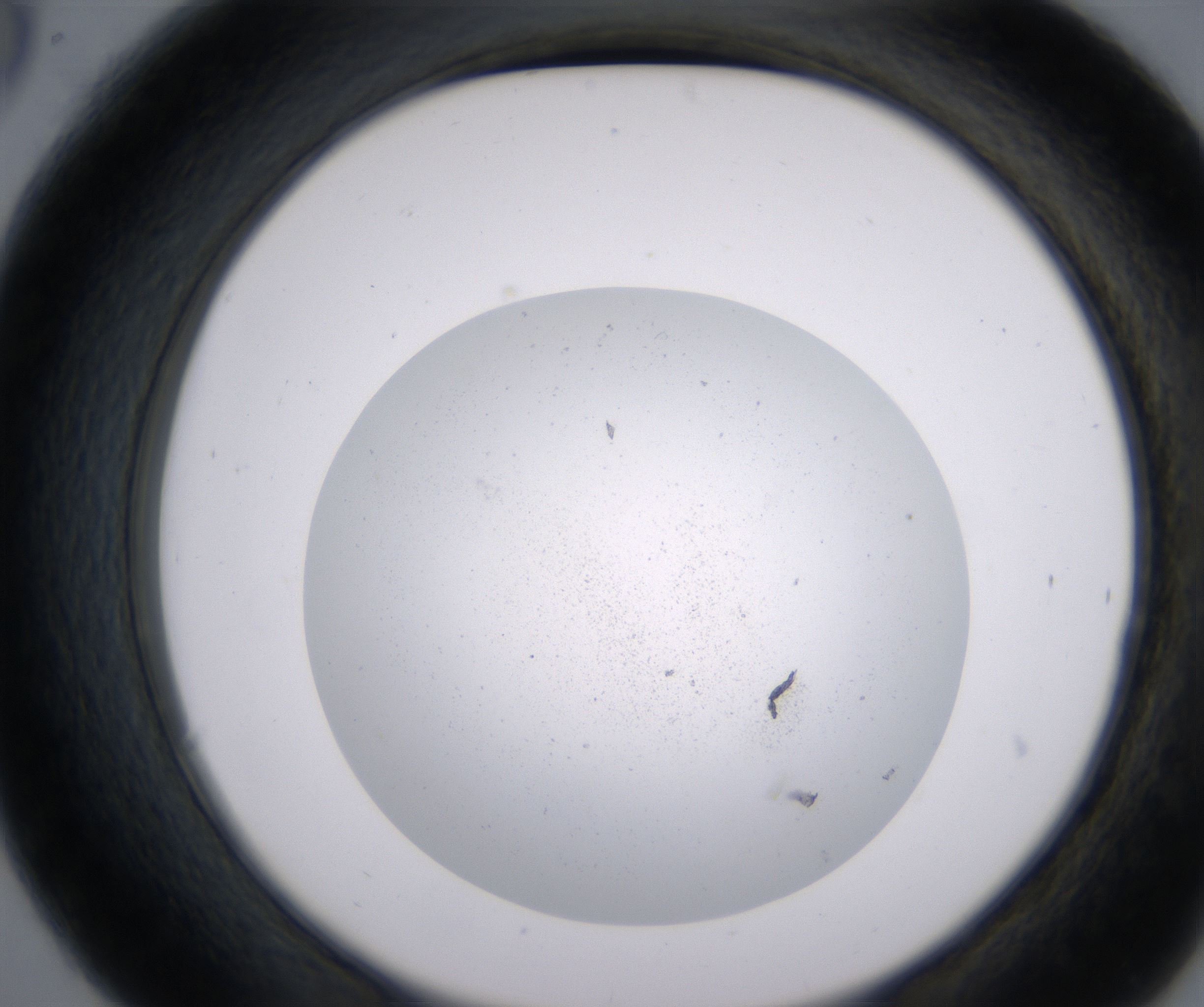 C6_HighResolution_Precipitate_2.jpg