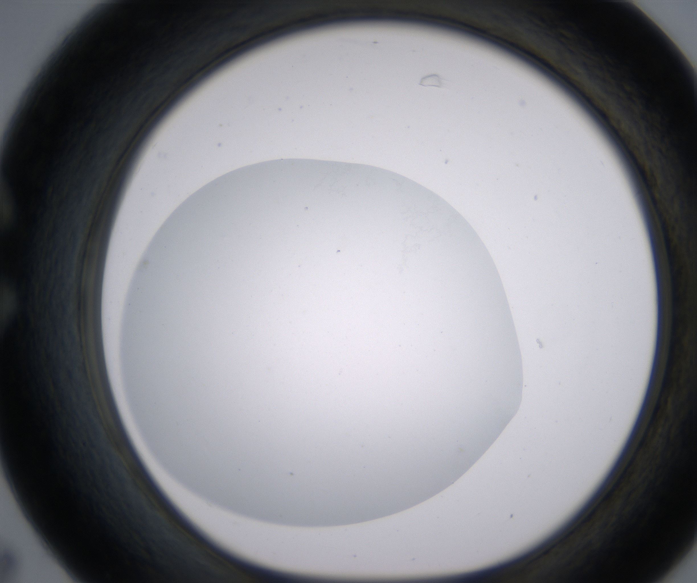 C7_HighResolution_Clear_1.jpg