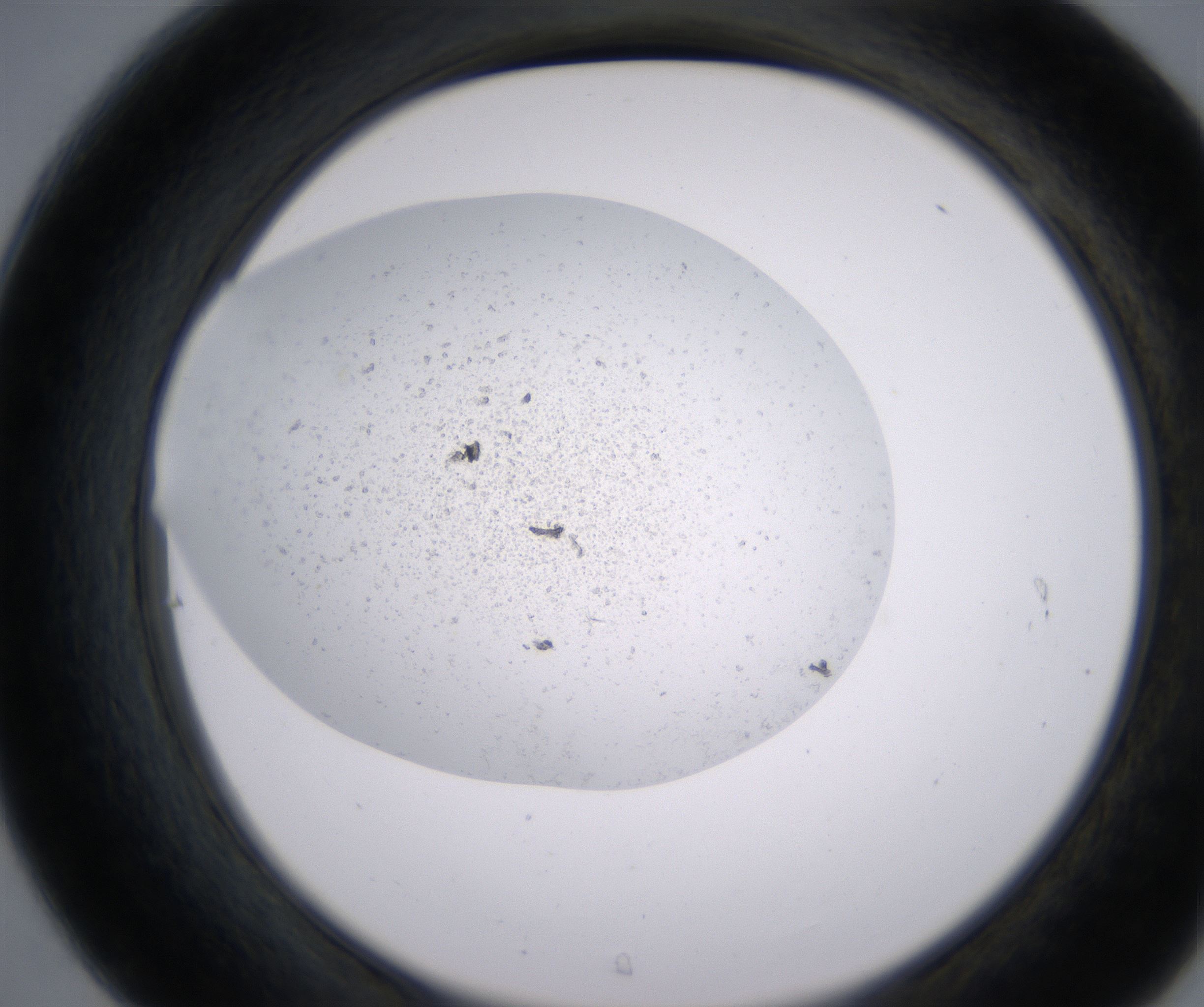 C7_HighResolution_Precipitate_2.jpg