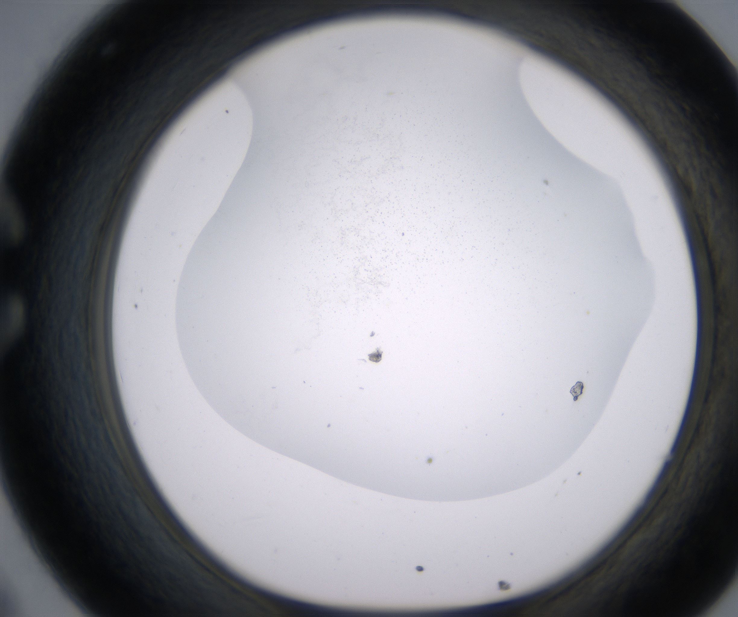 C8_HighResolution_Precipitate_1.jpg